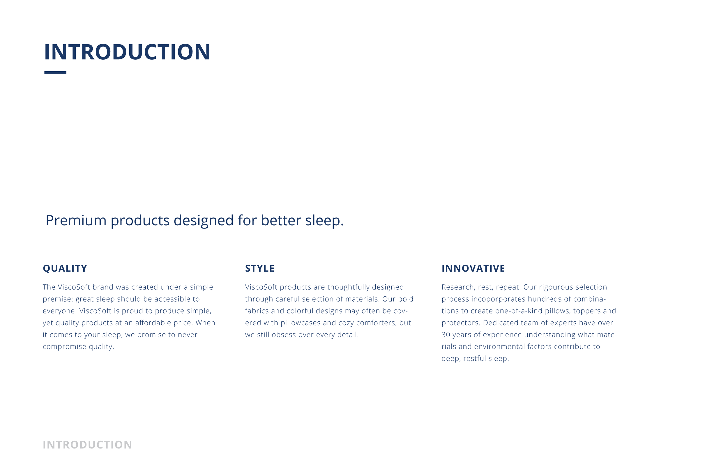 vs_brand_guide-03.png