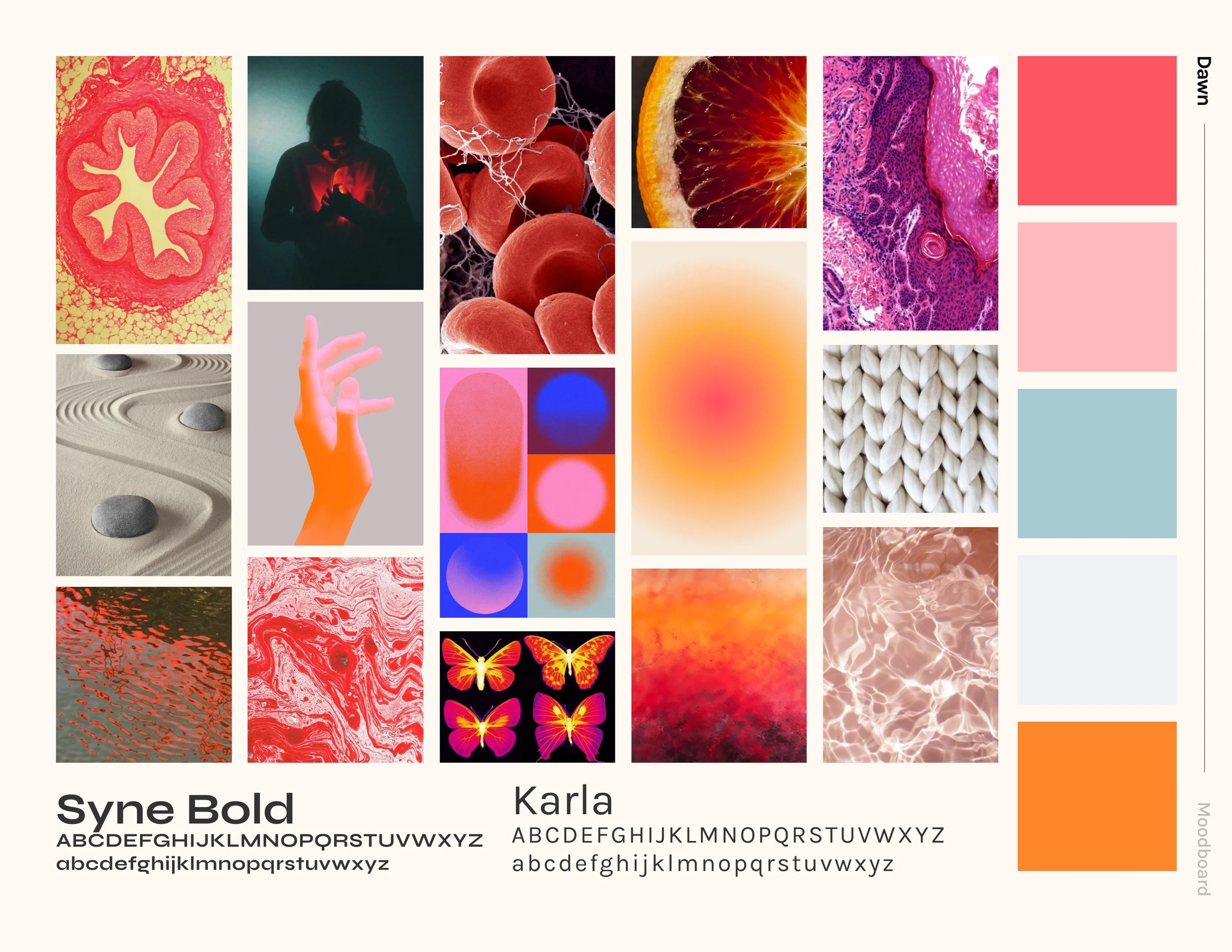 Dawn-Moodboard.jpg