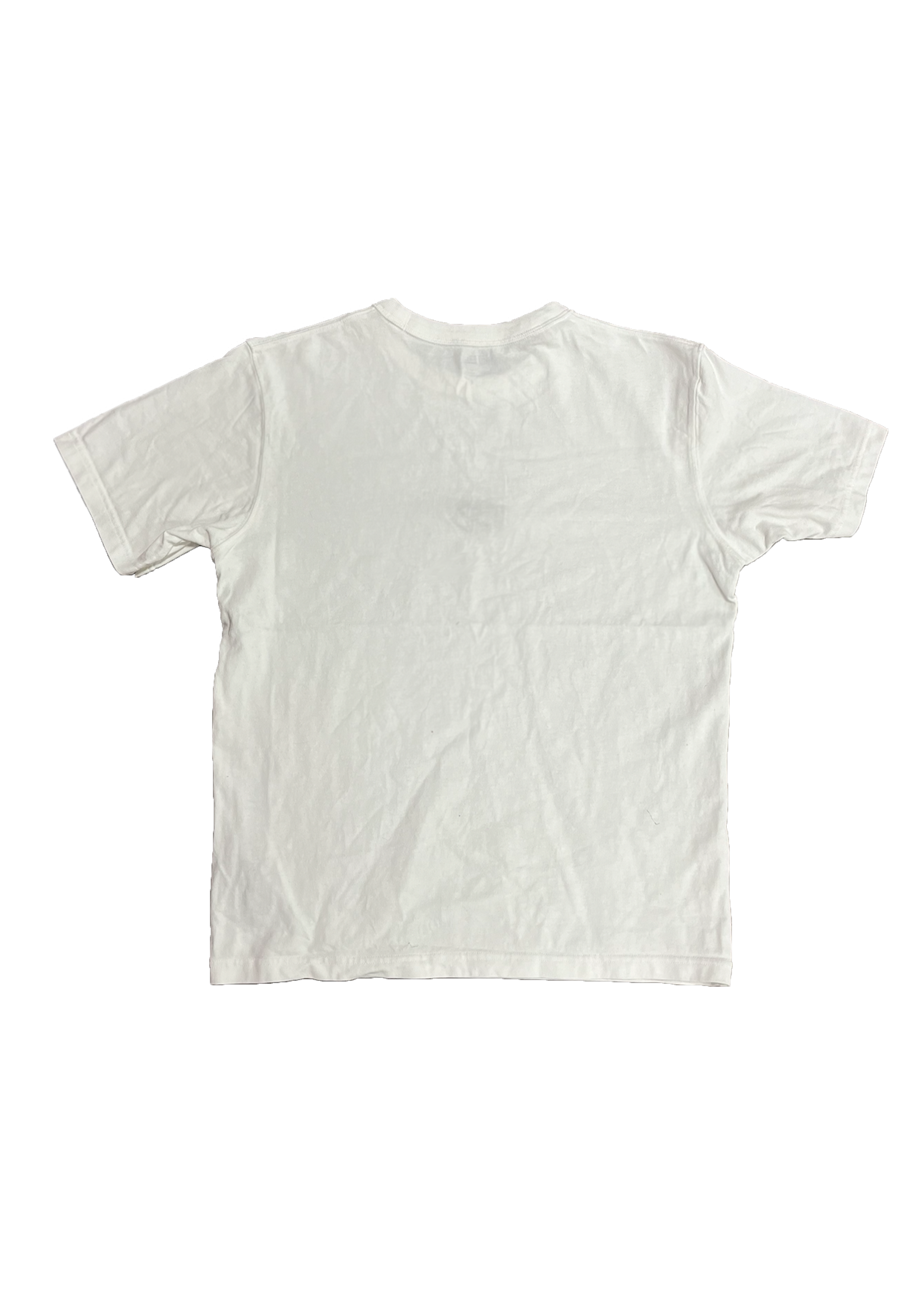 WHITEBACK.png