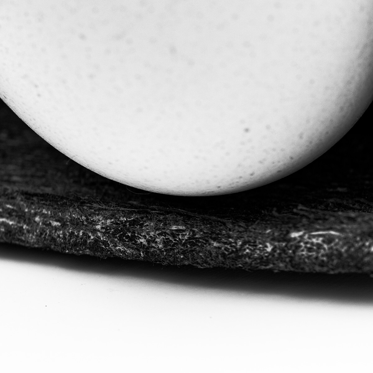 eggg and shell 2-imresizer.png