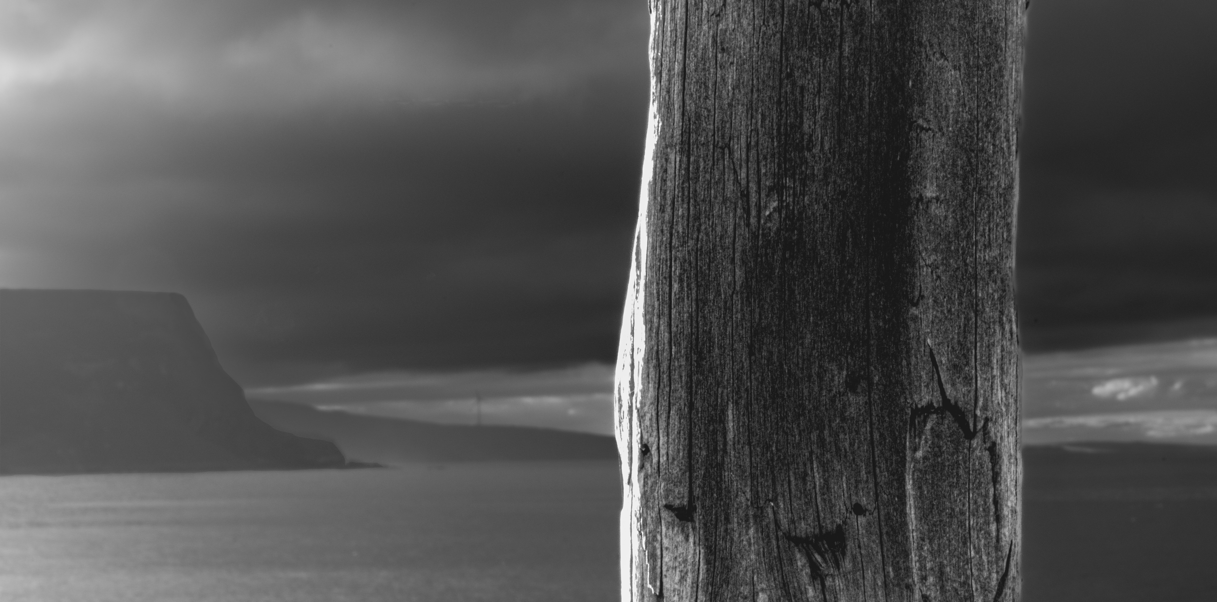 Crovie latest 2 copy 2.png