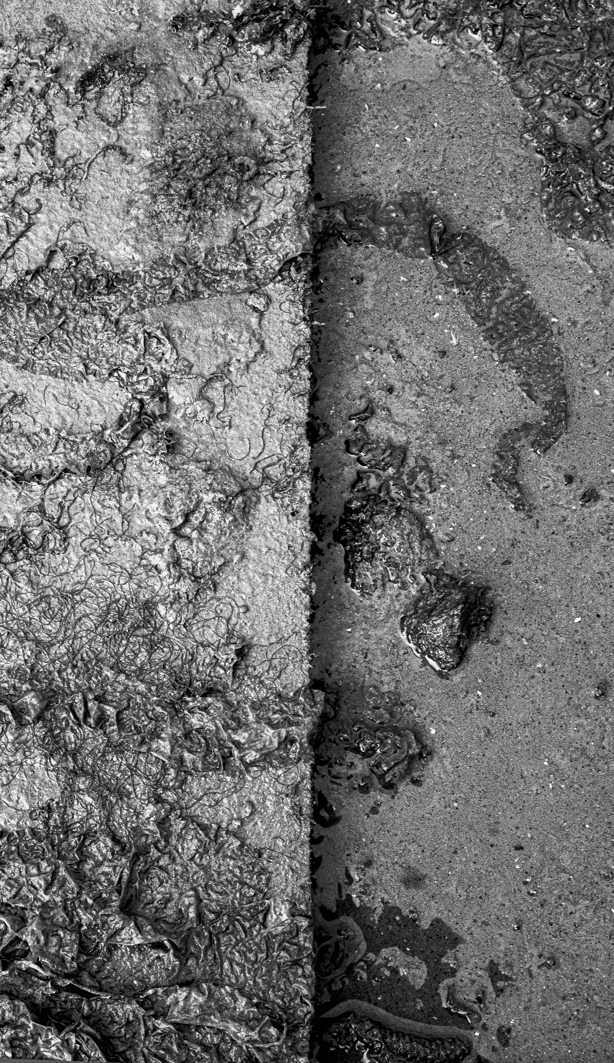 Textured line 1 copy.png