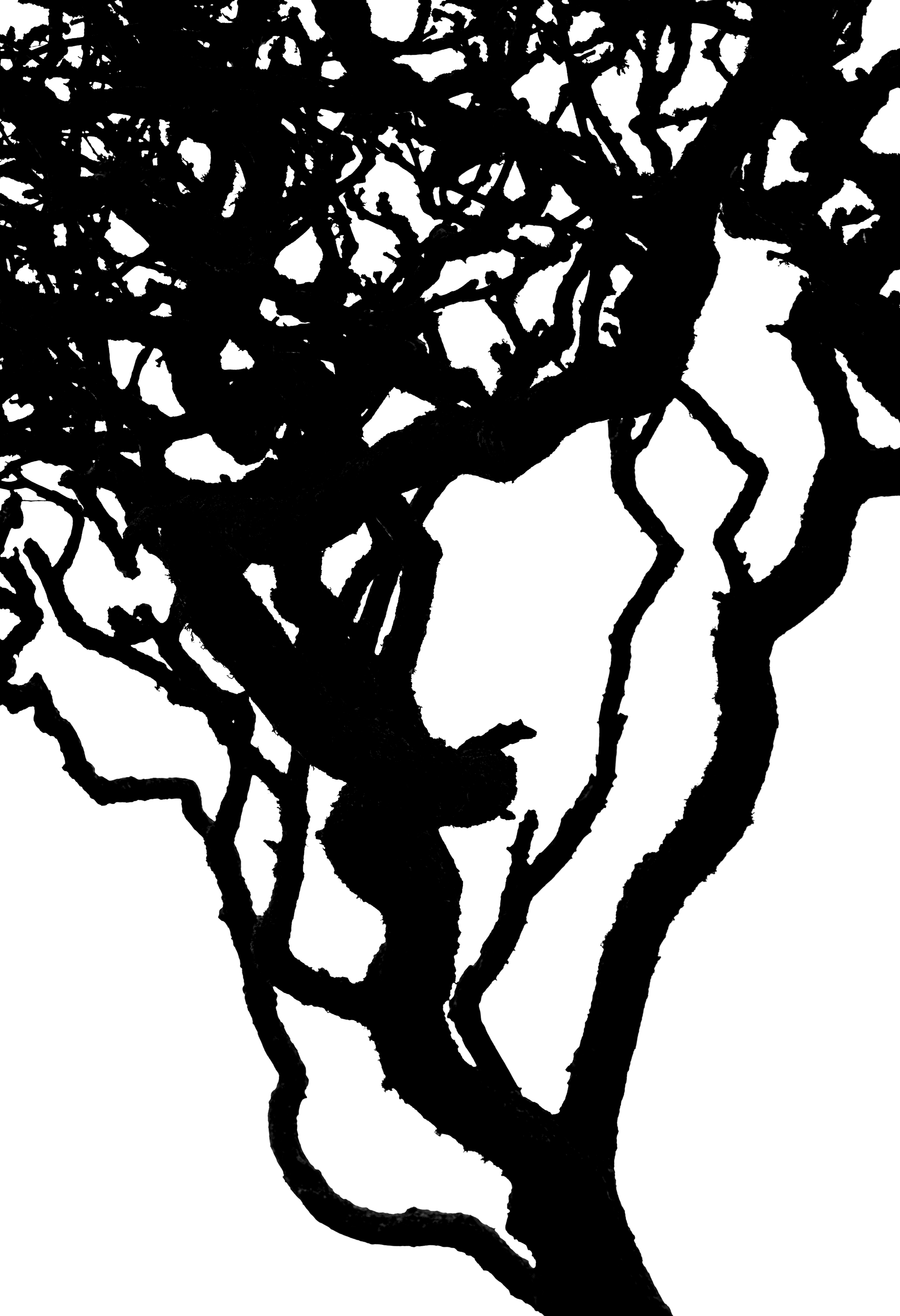 Ythan Tree 2.png