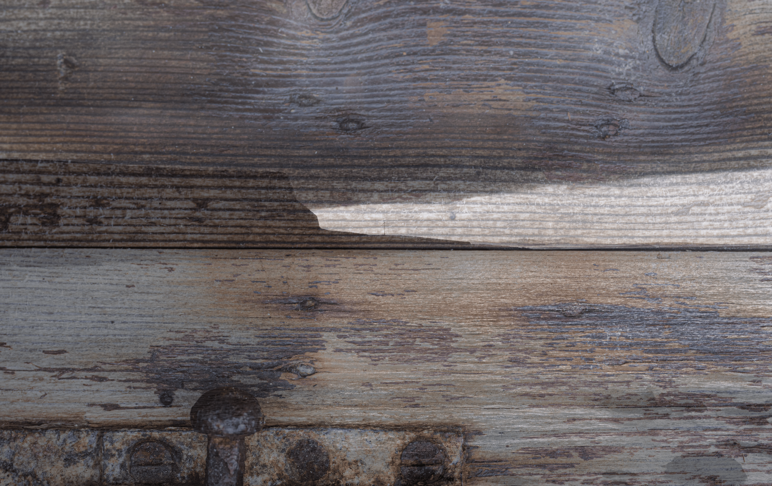 Crovie texture 1.png
