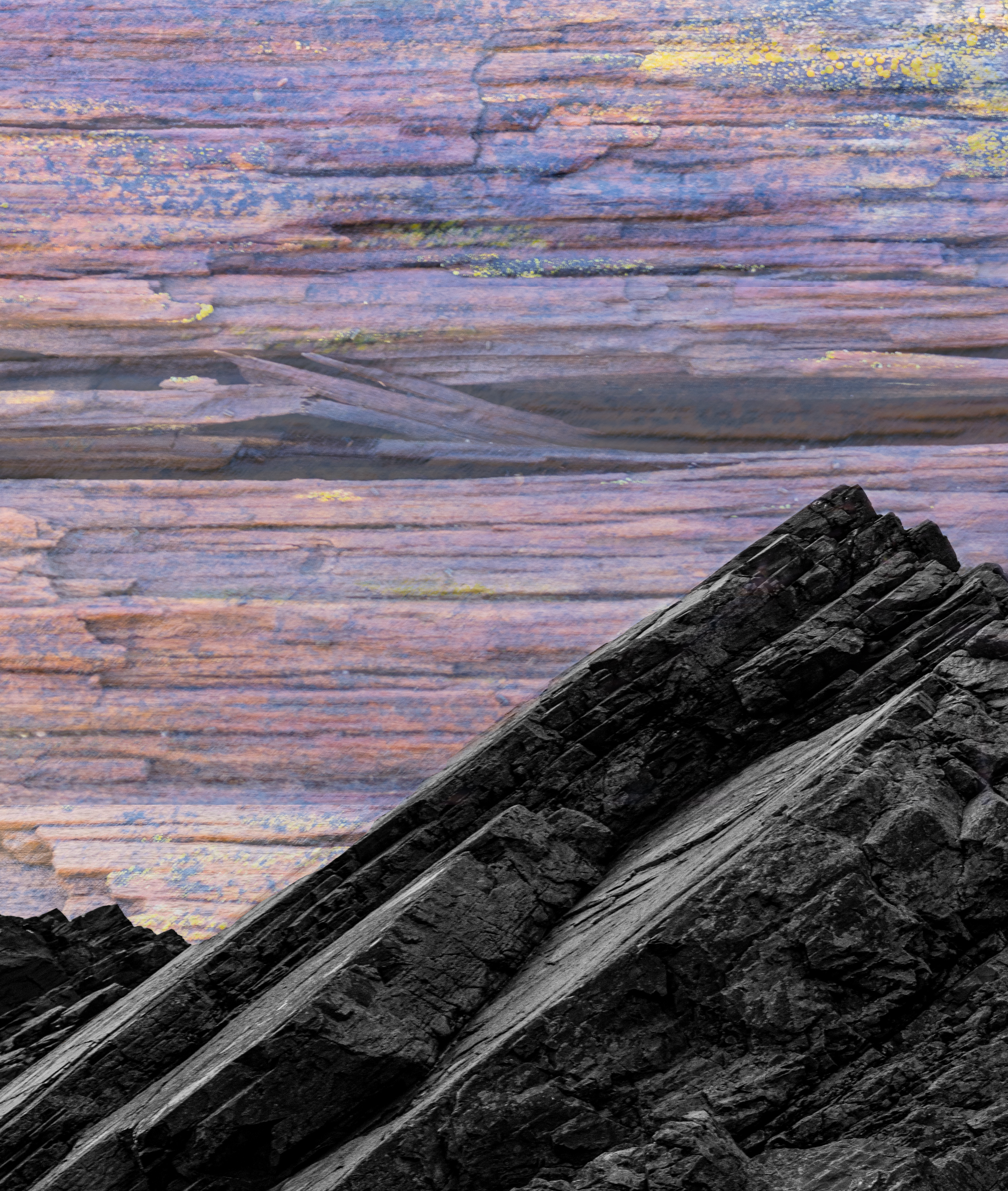 Crovie texture 4 copy 2.png