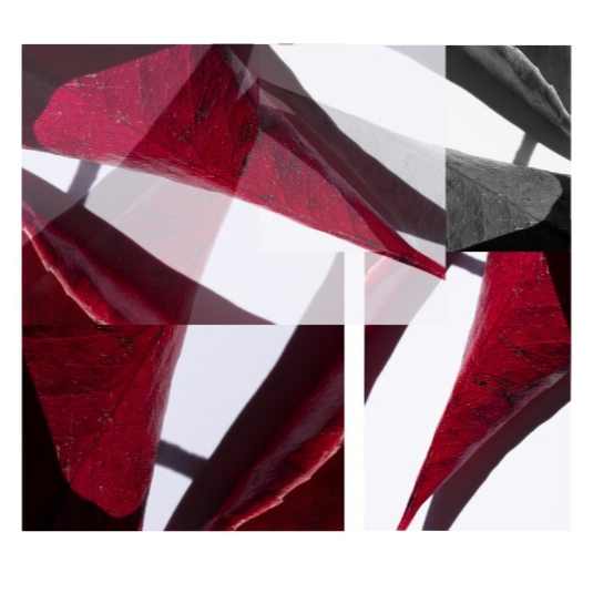 leaf+combo.png