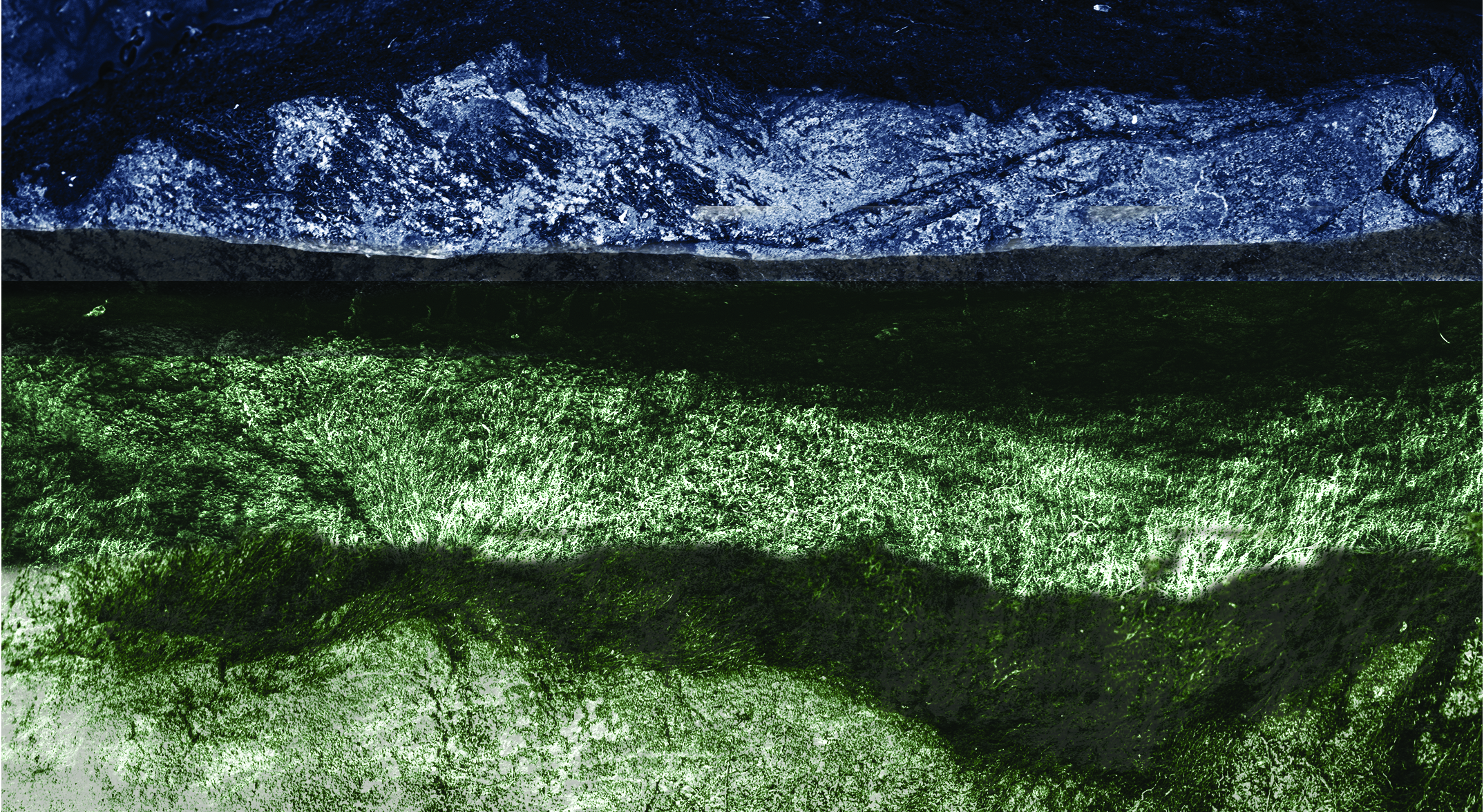 Abstract landscape 4  copy 2.png