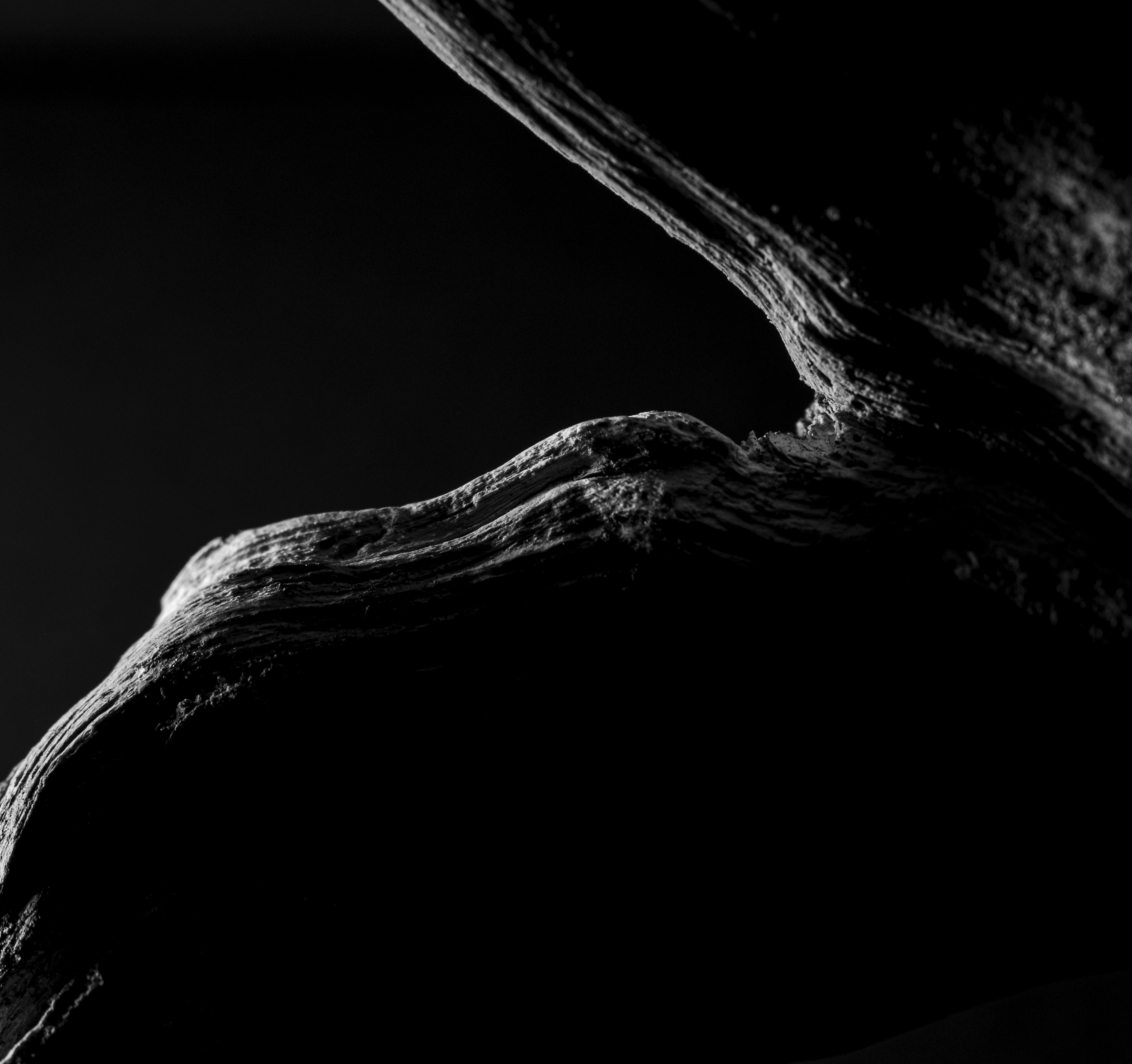 wood single 2.png