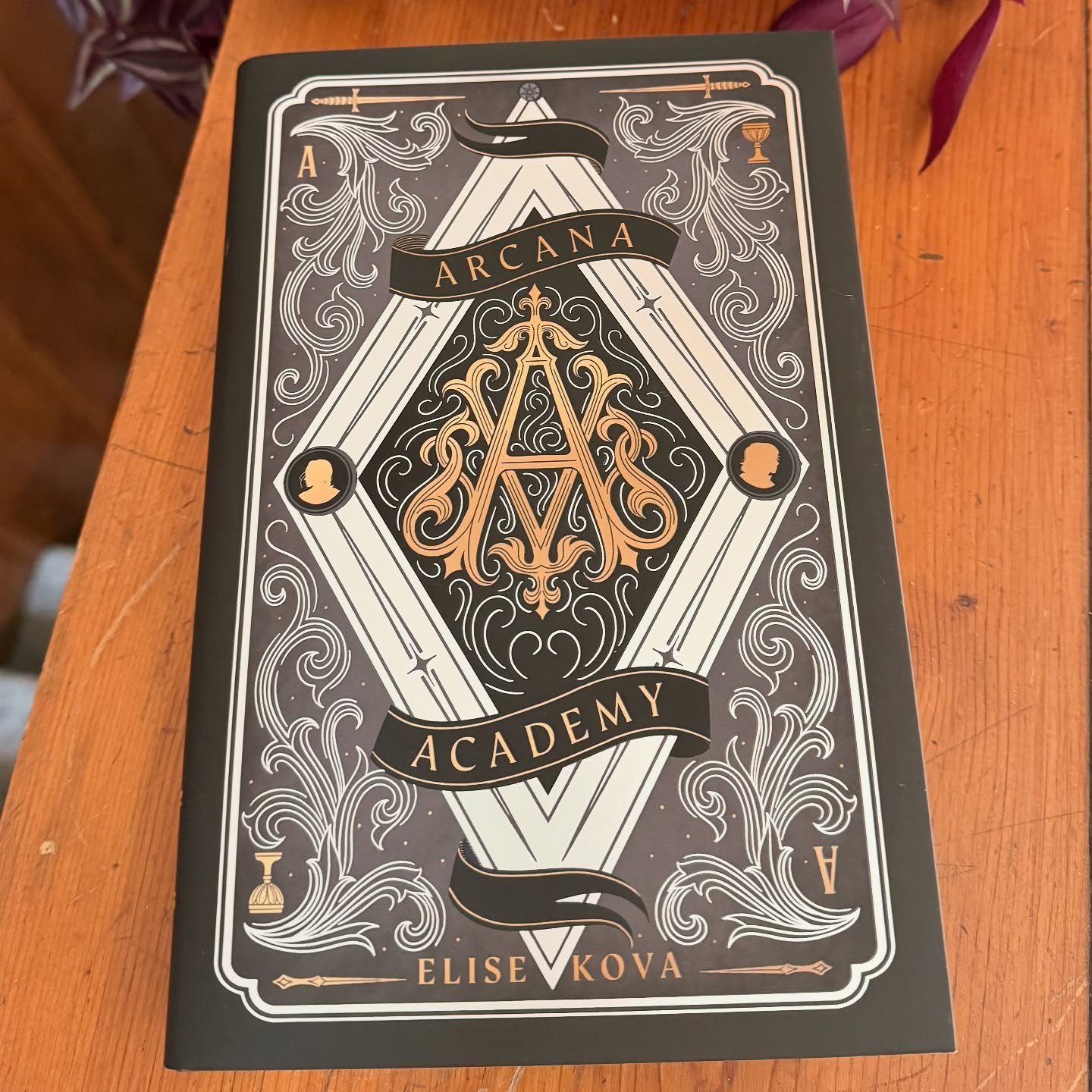 Current read! It&rsquo;s already off to a great start, so excited to be immersed in this world.