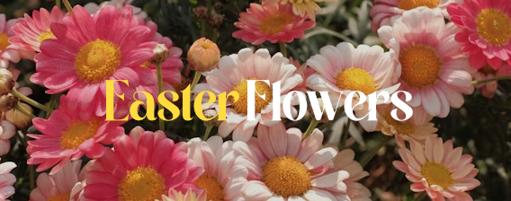 Easter Flower Dedications