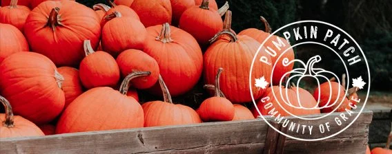 Pumpkins are Coming Soon!