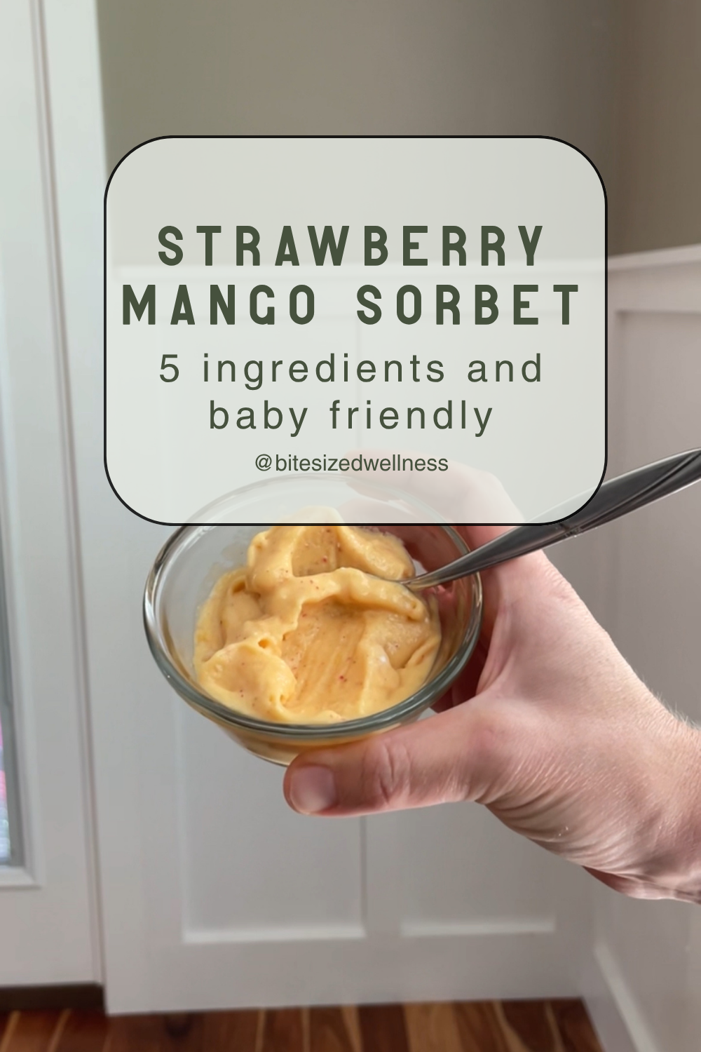 5 Ingredient Strawberry Mango Sorbet: Baby + Toddler Approved