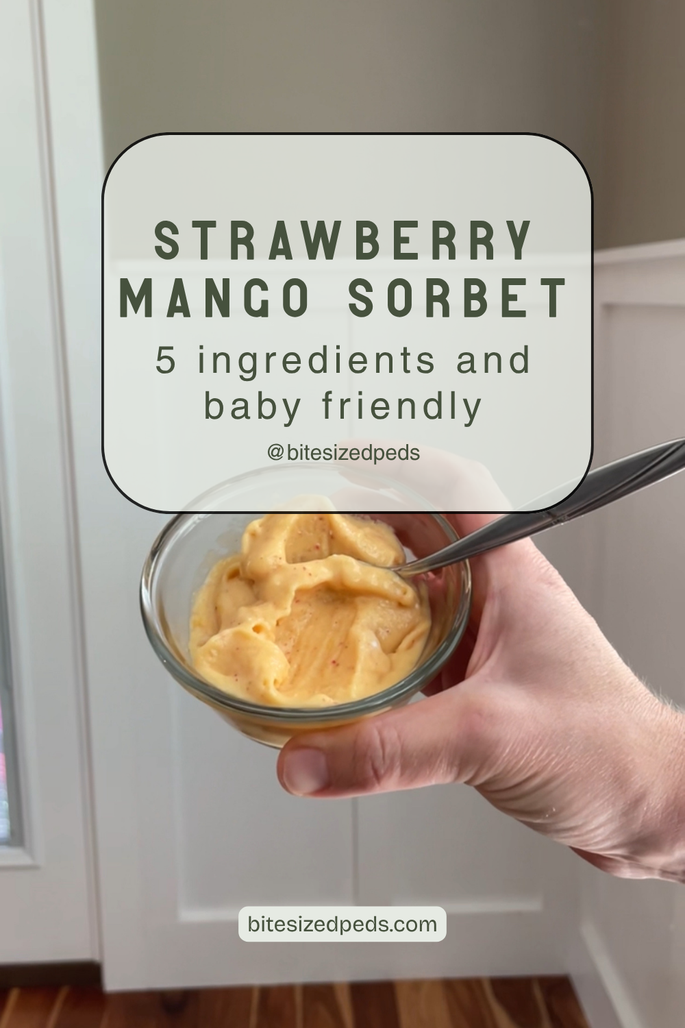 5 Ingredient Strawberry Mango Sorbet: Baby + Toddler Approved