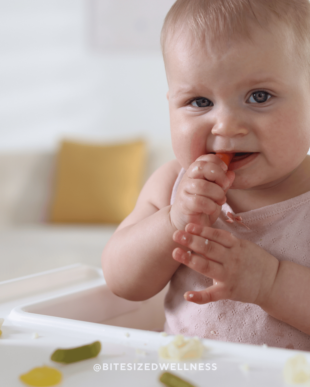 Starting solids, baby led weaning, feeding baby, how to feed baby, how to safely feed baby