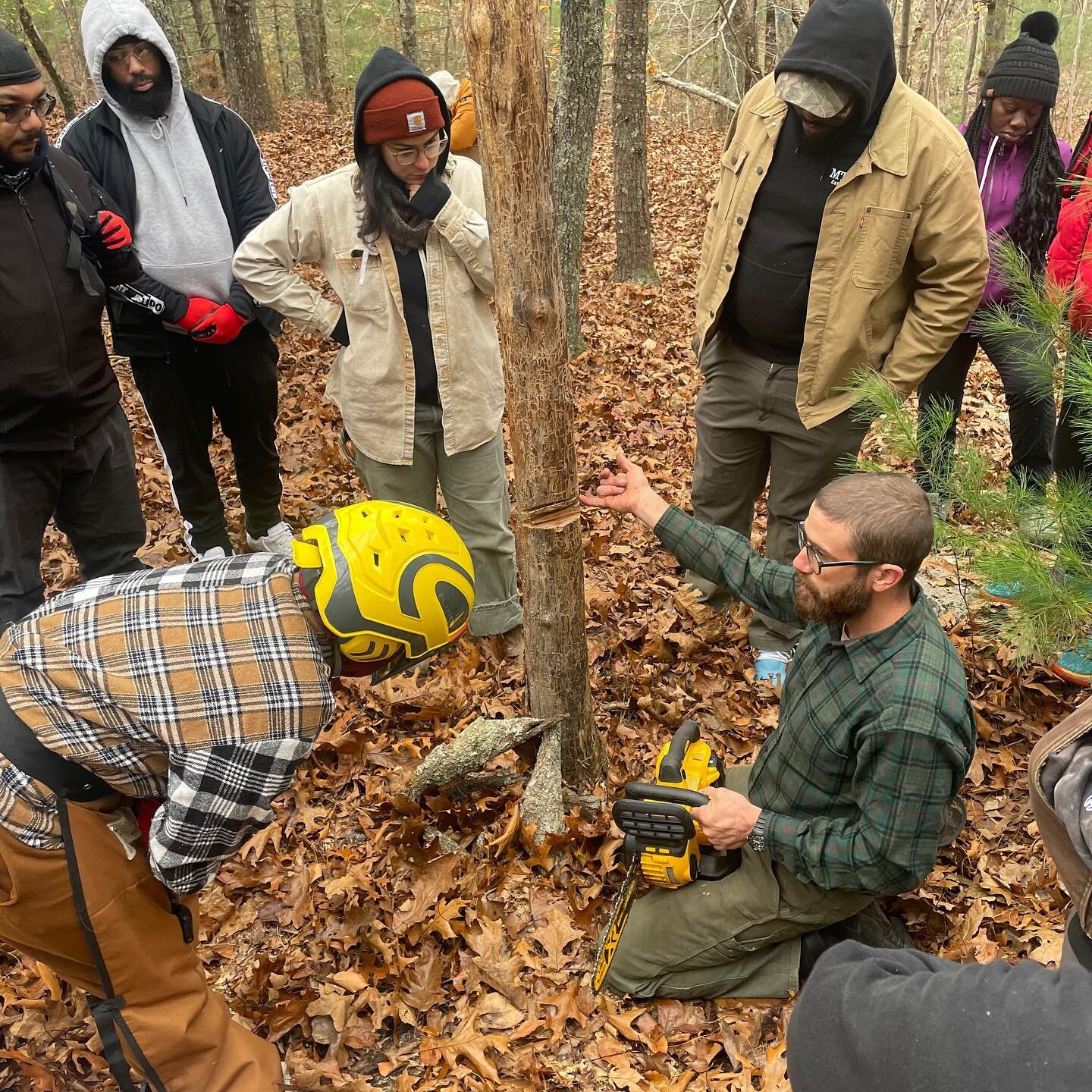 Eco-forestry example: sharing knowledge (and teaching hands-on skills) for sustainably harvesting a wood lot to promote biodiversity. This was a collaboration with the Adult Job Training class from Groundwork RI. Such a great team and group!