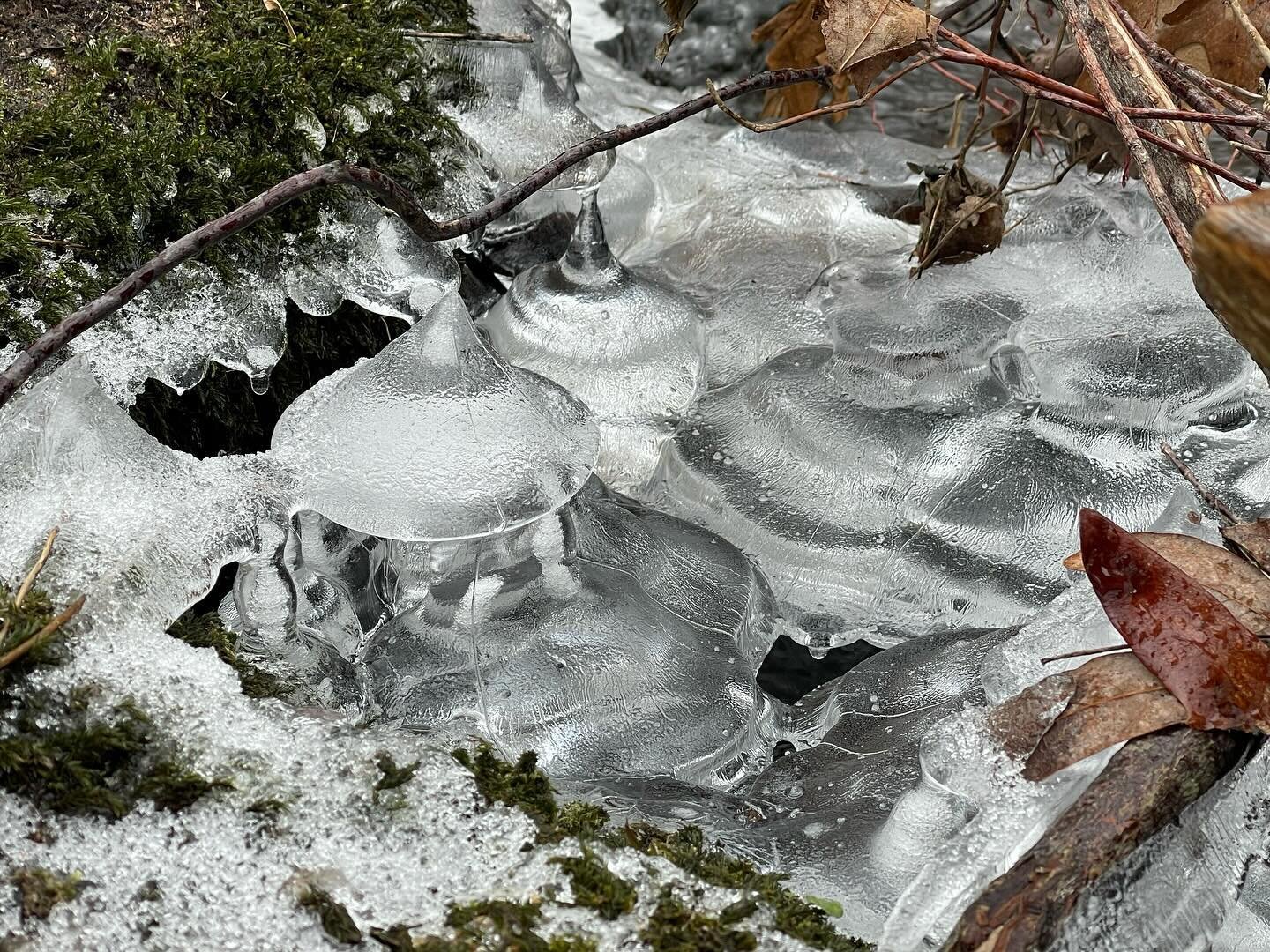 Recent ice on Moscow Brook that runs through our woodlot&hellip; it was cold that day, but I was grateful (like today) to at least have SUN!
