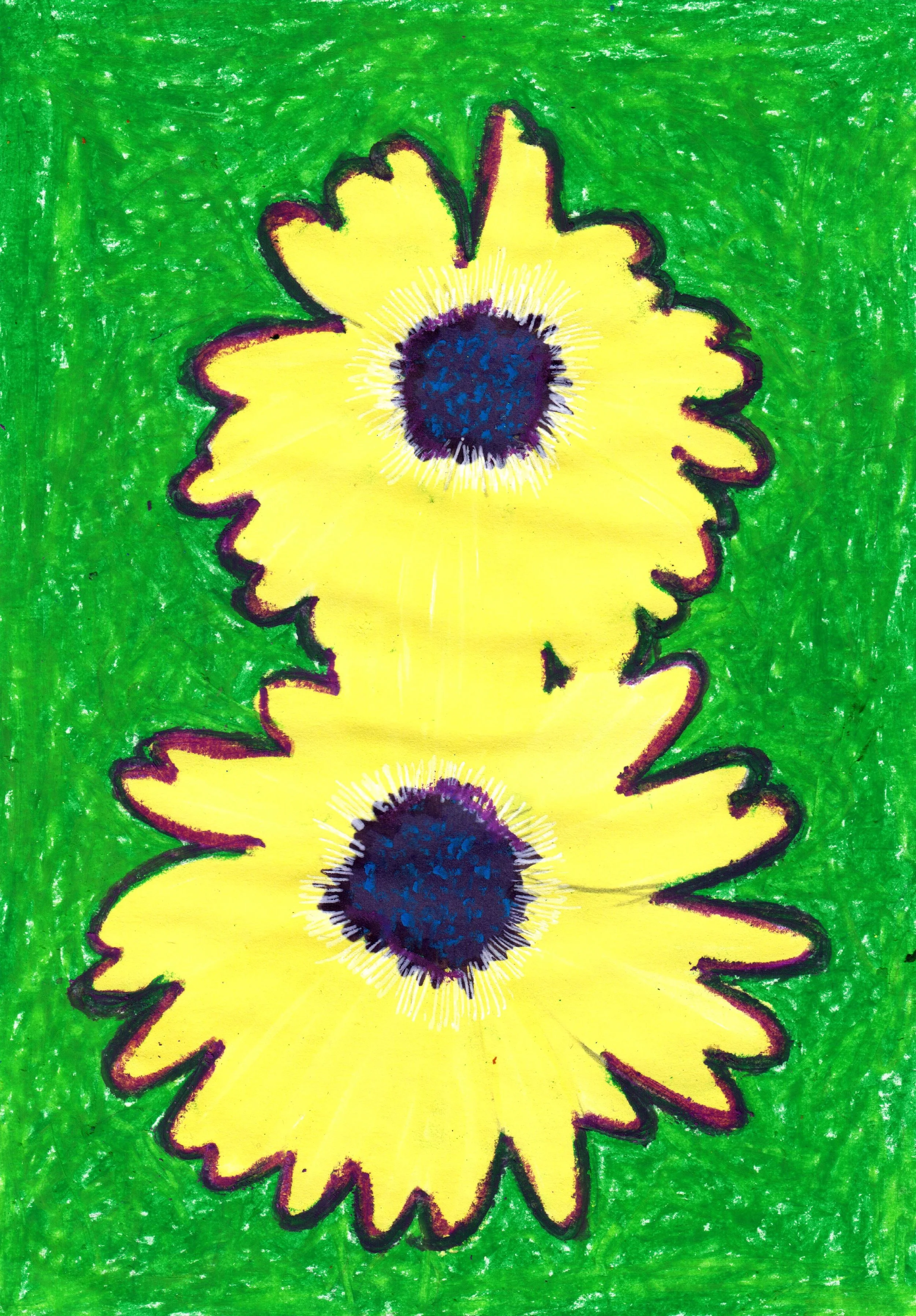 Disegno di due girasoli gialli con centri viola scuro sullo sfondo verde.