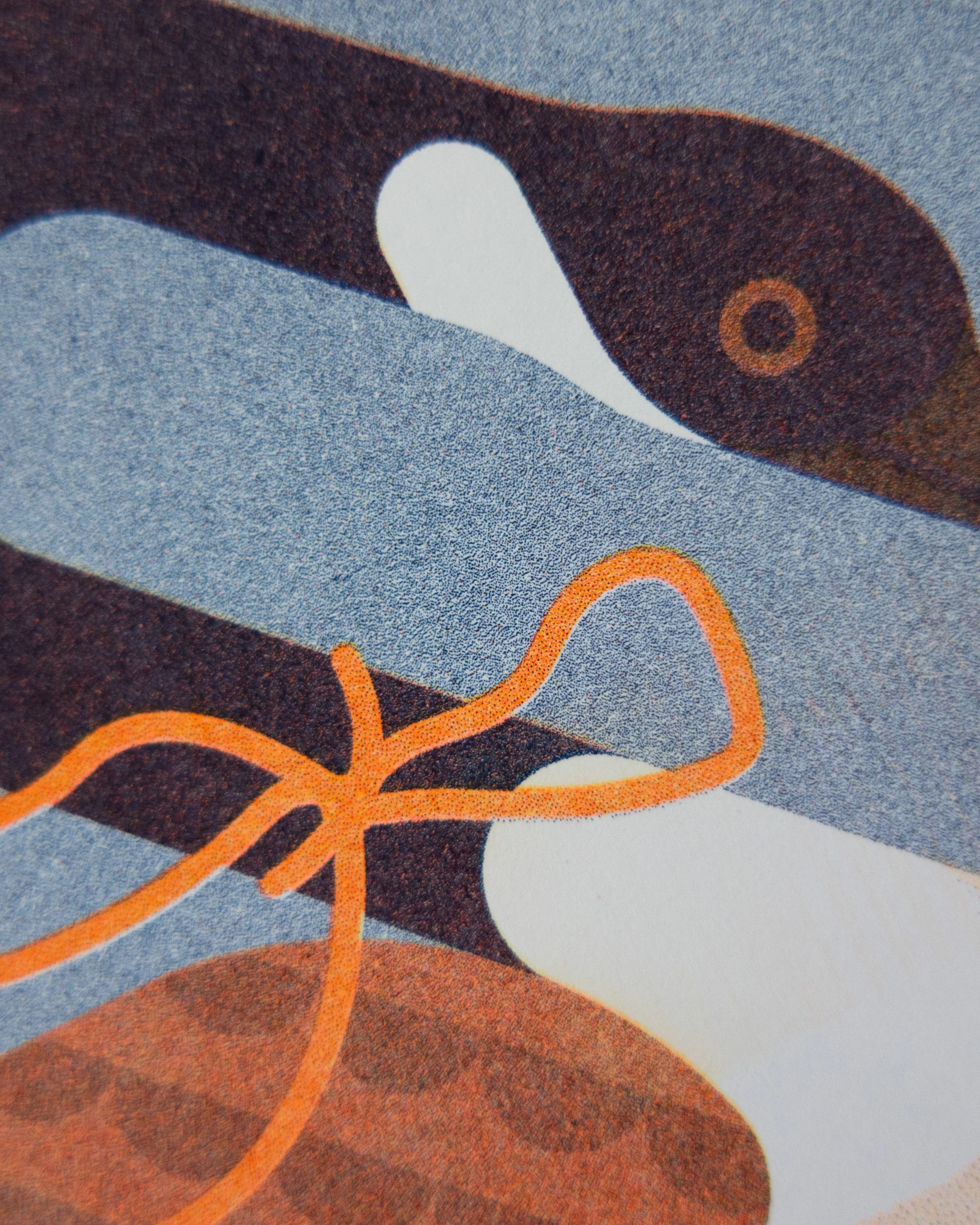 Mystery_Misprint_Goose-Photos-3.jpg
