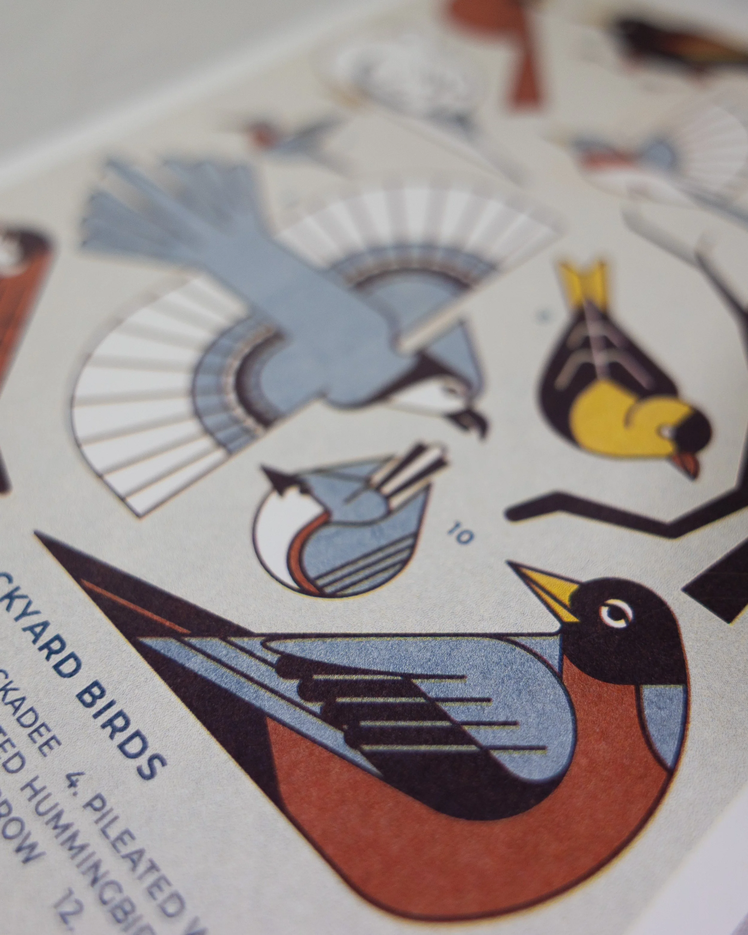 Midwest Backyard Birds Riso_Photos-3.jpg