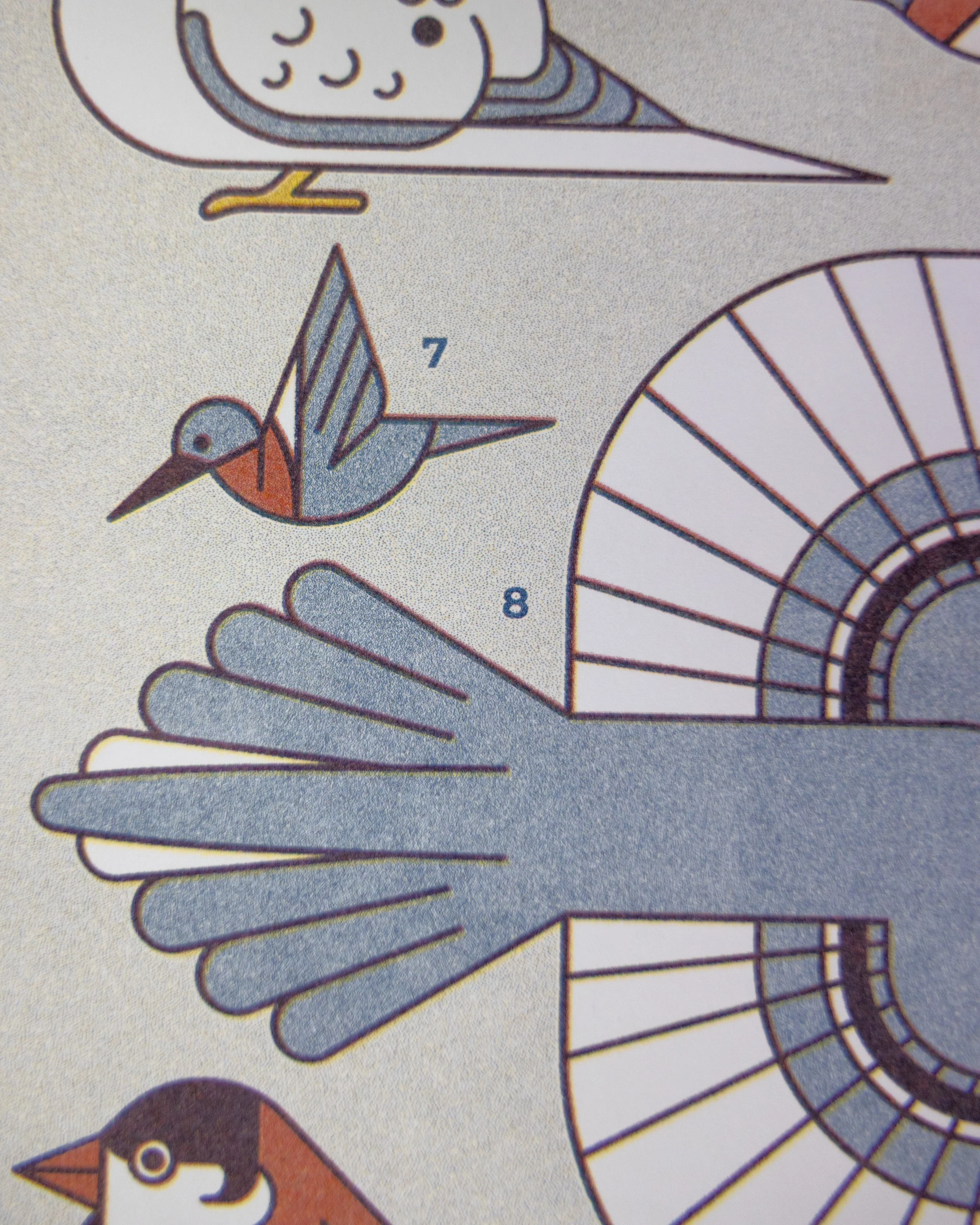 Midwest Backyard Birds Riso_Photos-4.jpg