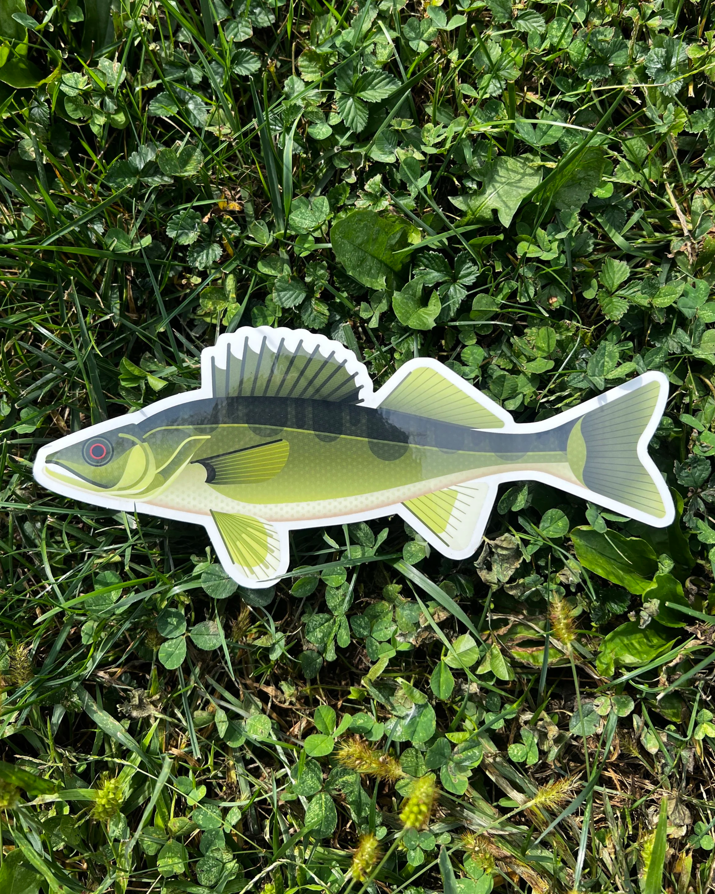 IMG_7678.png