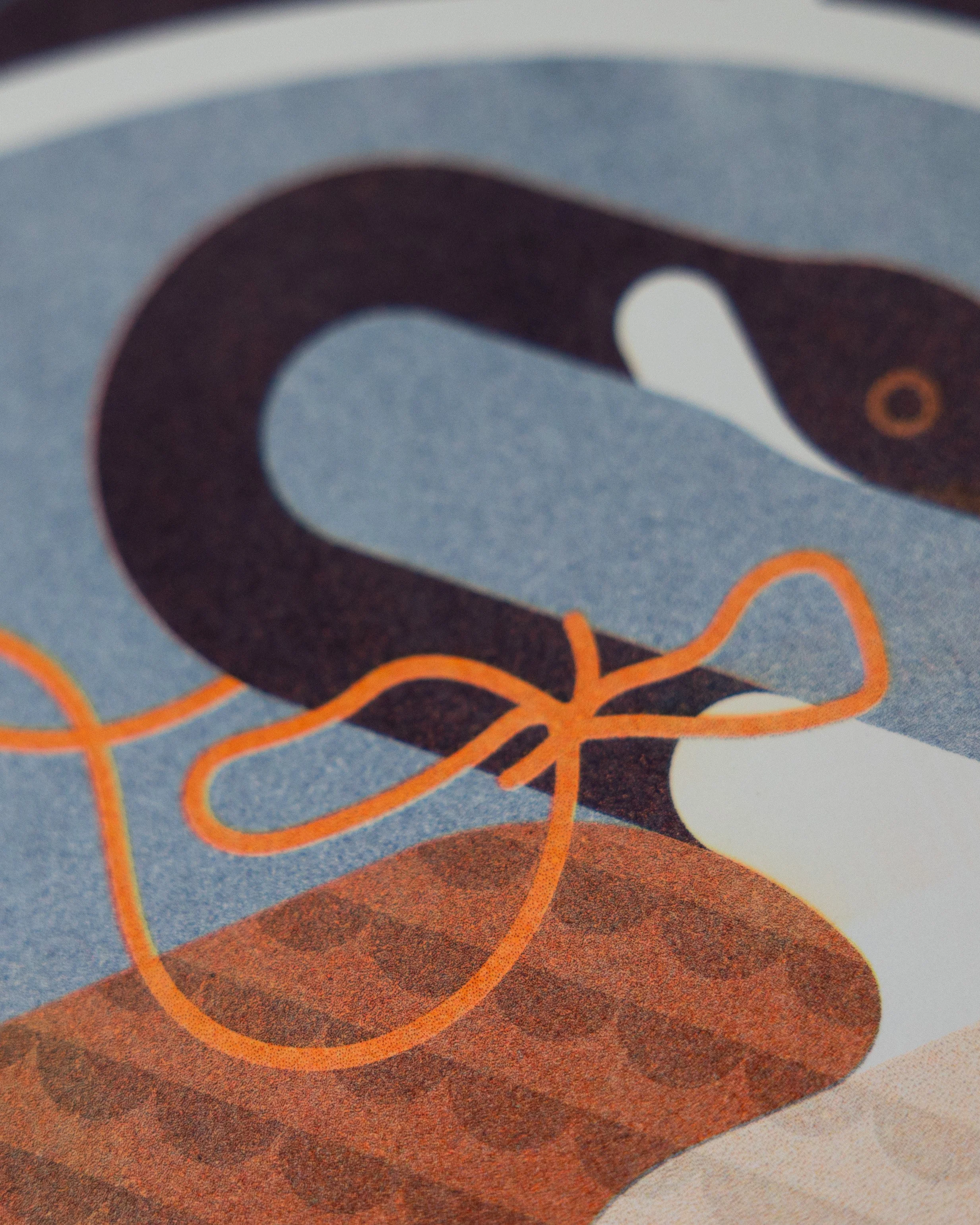 Mystery_Misprint_Goose-Photos-5.jpg