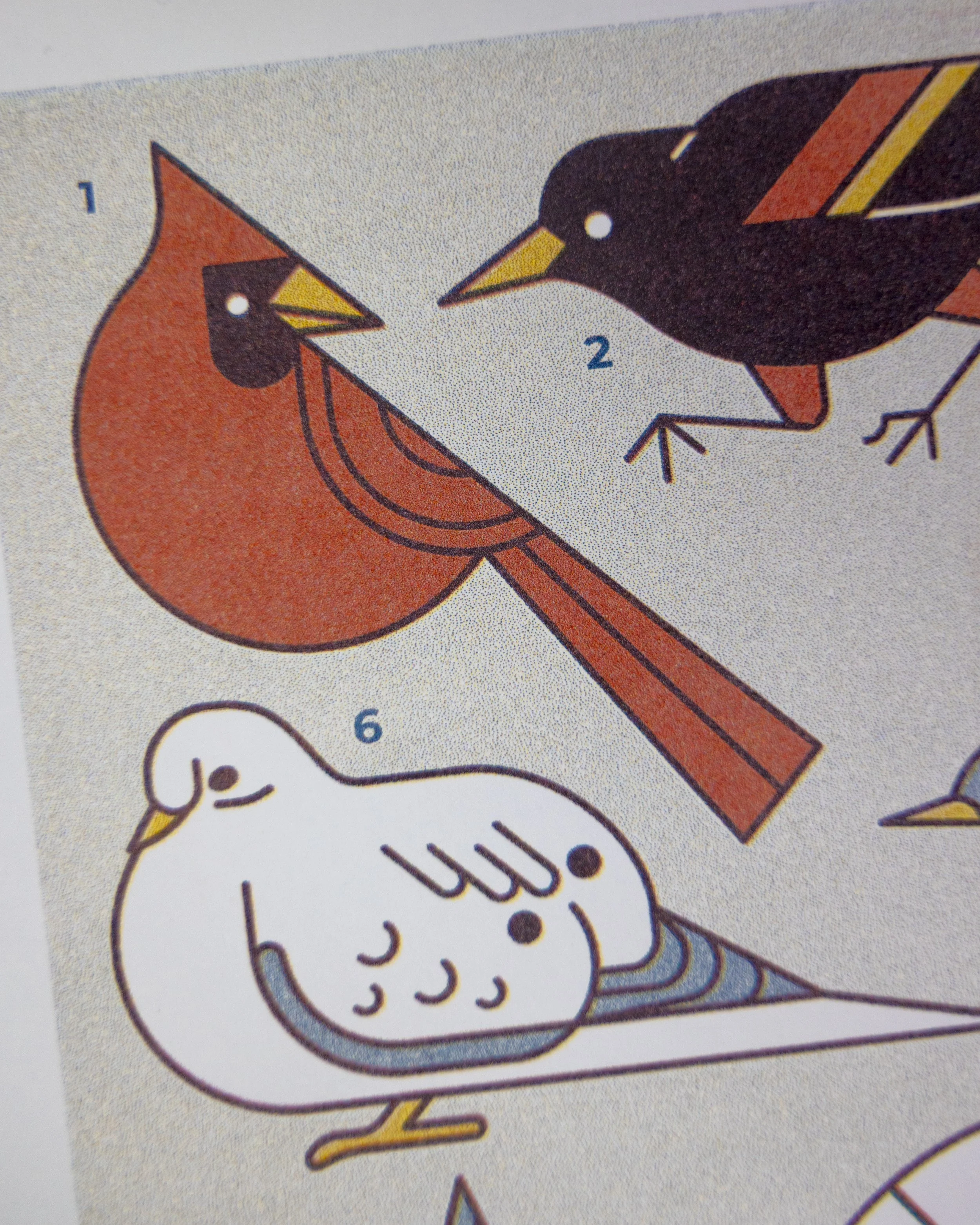 Midwest Backyard Birds Riso_Photos-5.jpg
