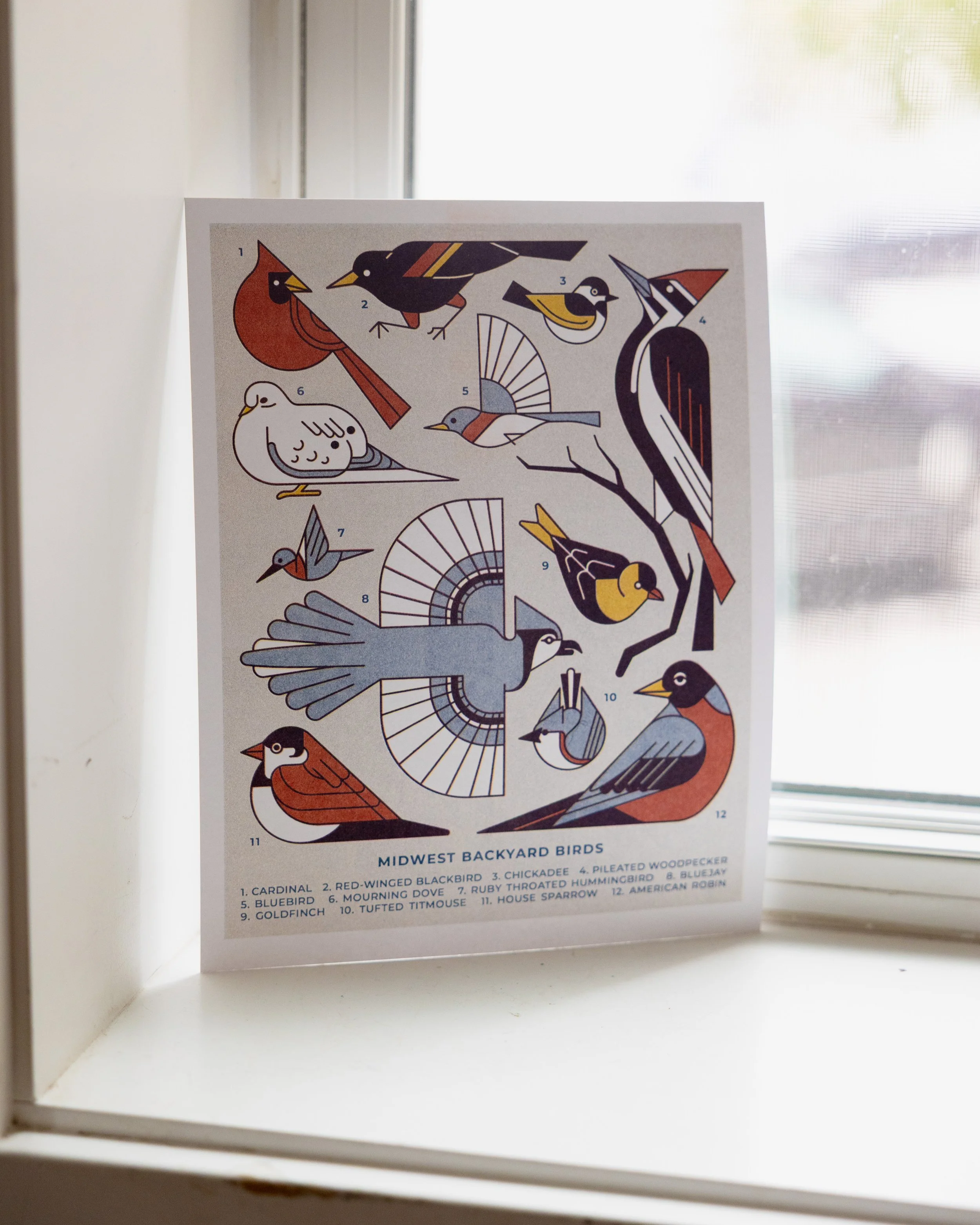 Midwest Backyard Birds Riso_Photos-1.jpg