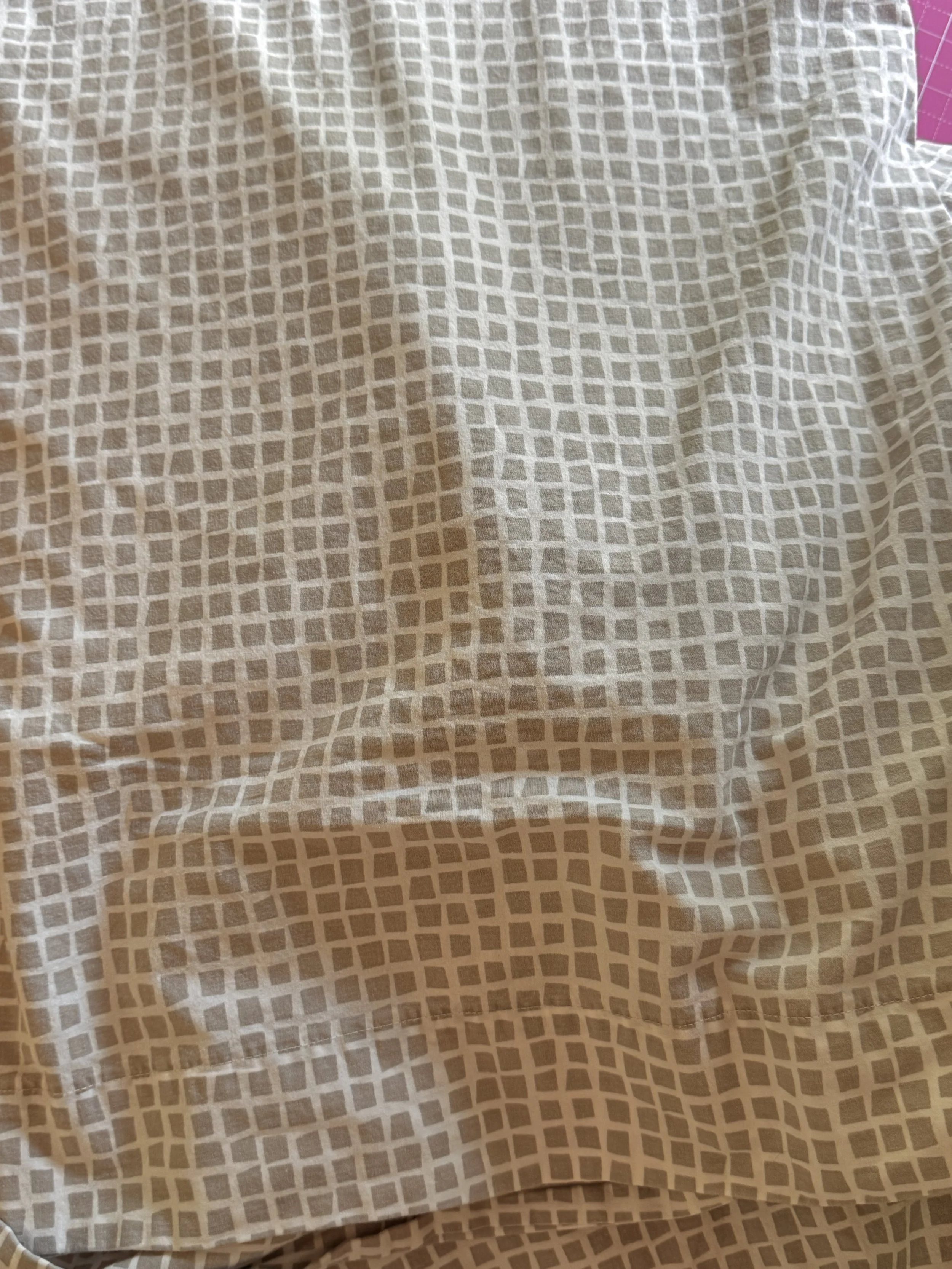 IMG_4956.jpeg