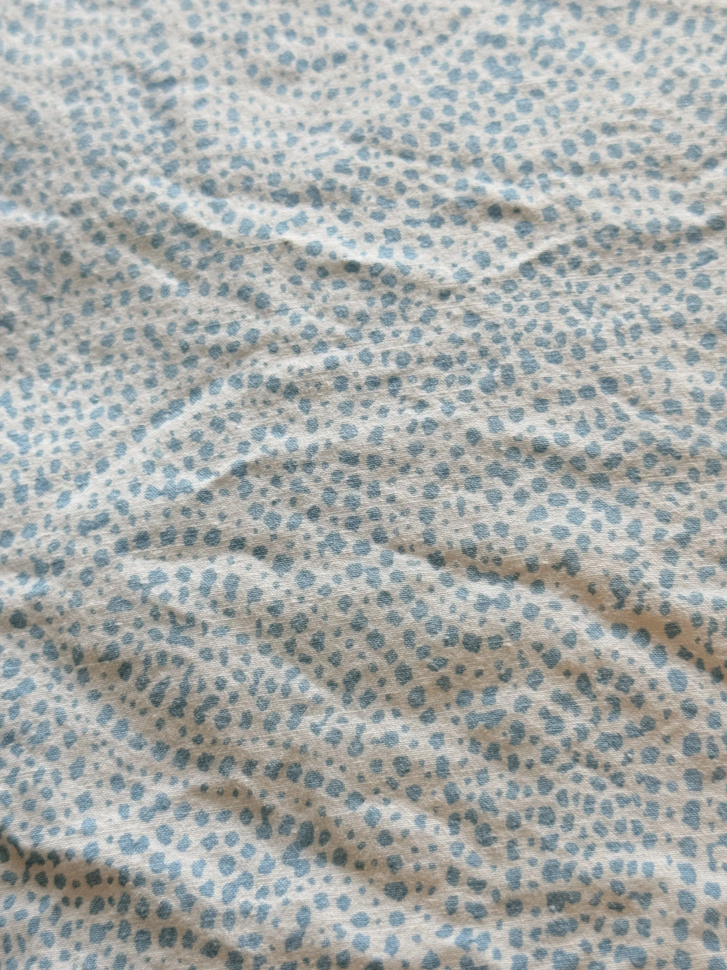 IMG_5032.jpeg