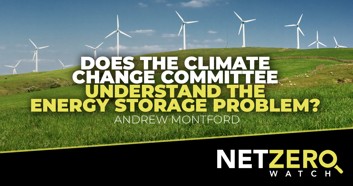 Does the Climate Change Committee understand the energy storage problem?