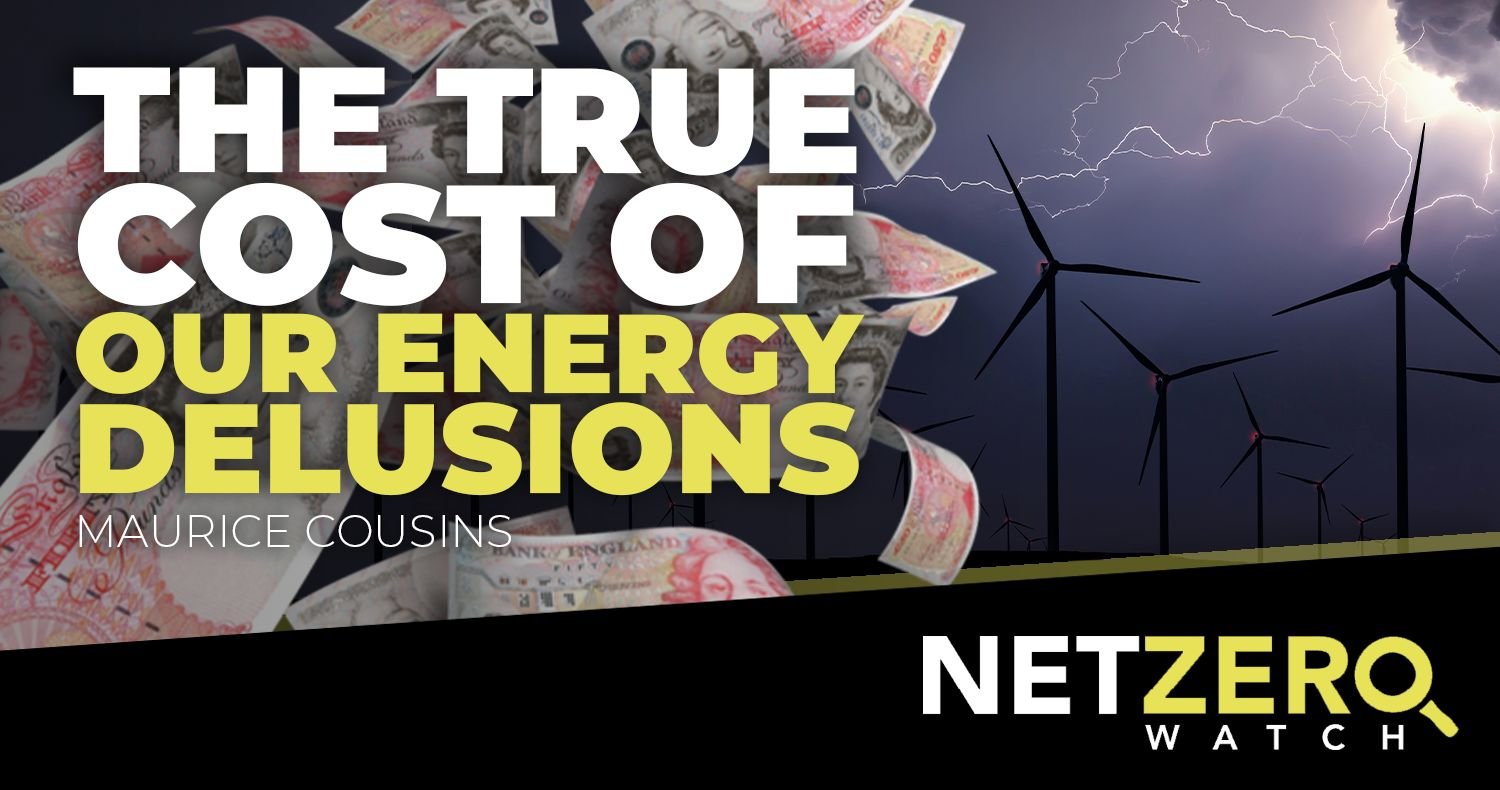 The true cost of our energy delusions