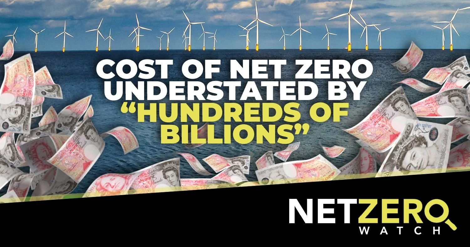 Cost of Net Zero understated by “hundreds of billions” 