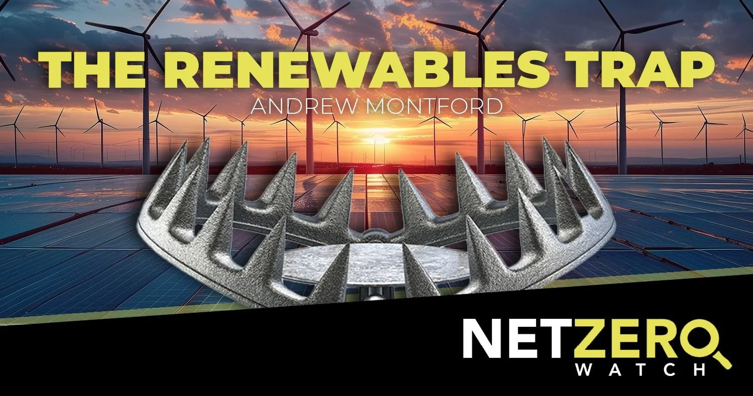 The renewables trap