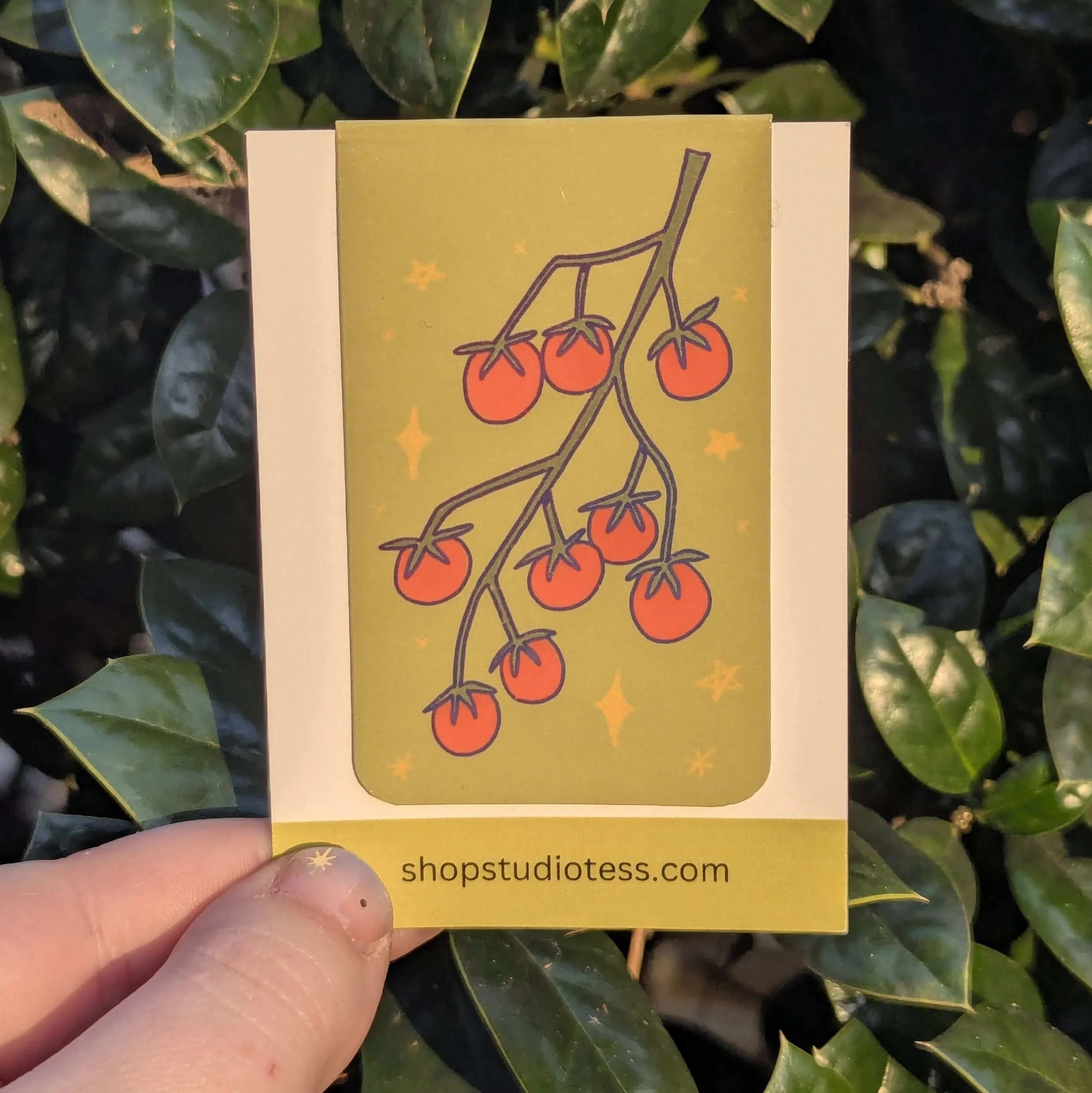 cherry tomatoes magnetic bookmark