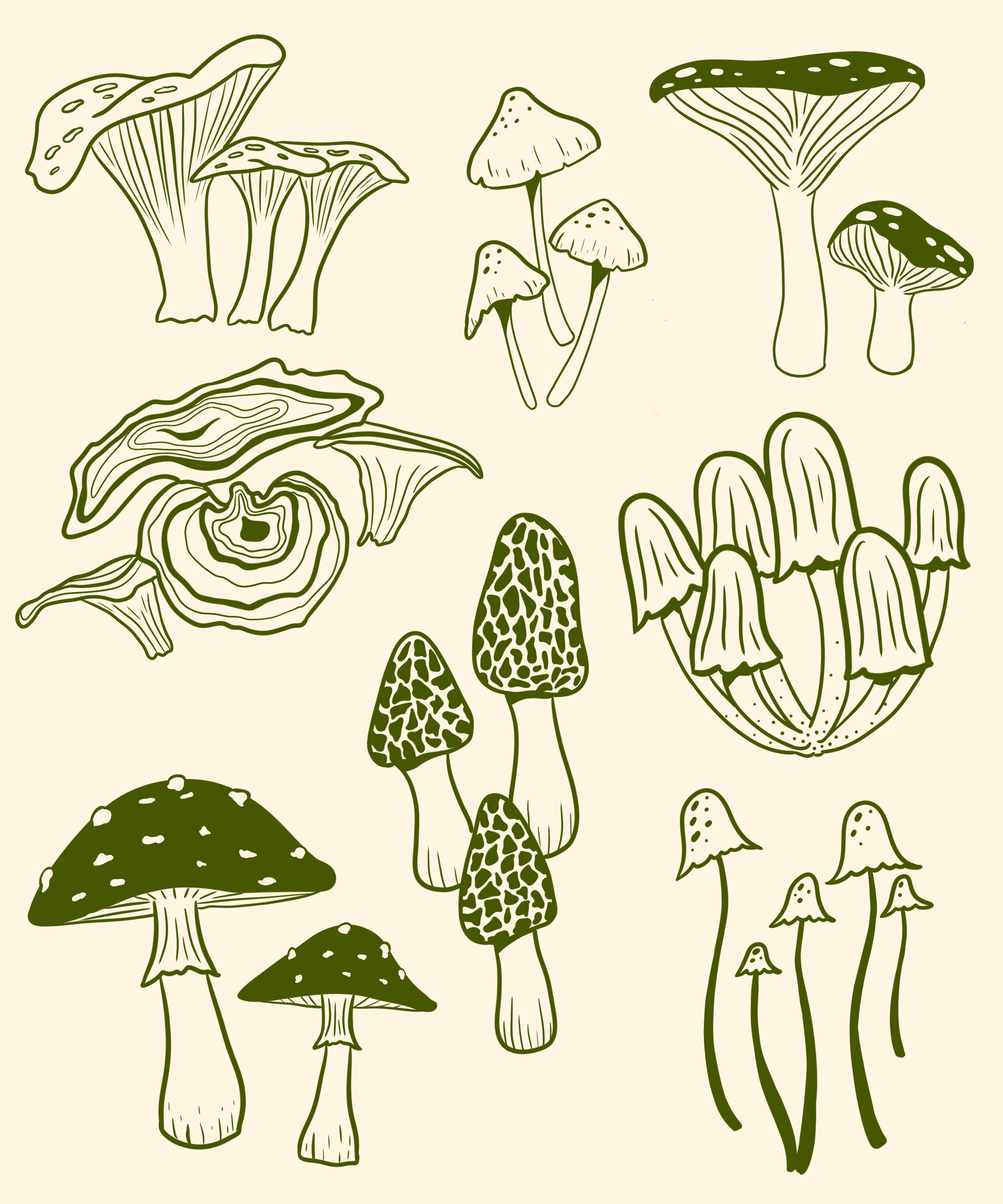 Mushroom_Screen_print.png