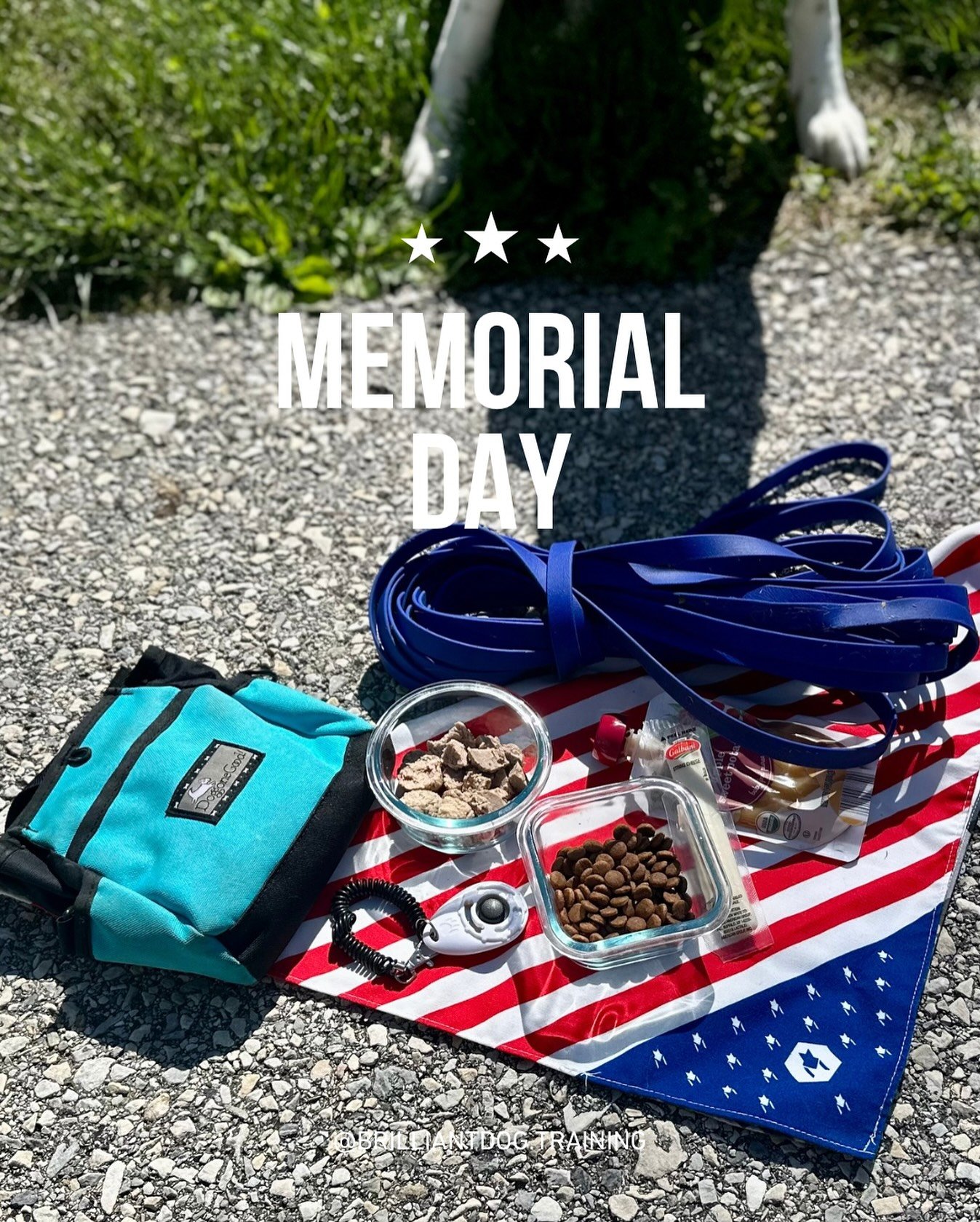 🇺🇸 Memorial Day | Headed out for a walk on a beautiful day- don&rsquo;t forget we all get this extra day to remember those who sacrificed their lives for our freedom!  Read more- What&rsquo;s in our treat pouch?  Kibble, meatball chopped up, cheese