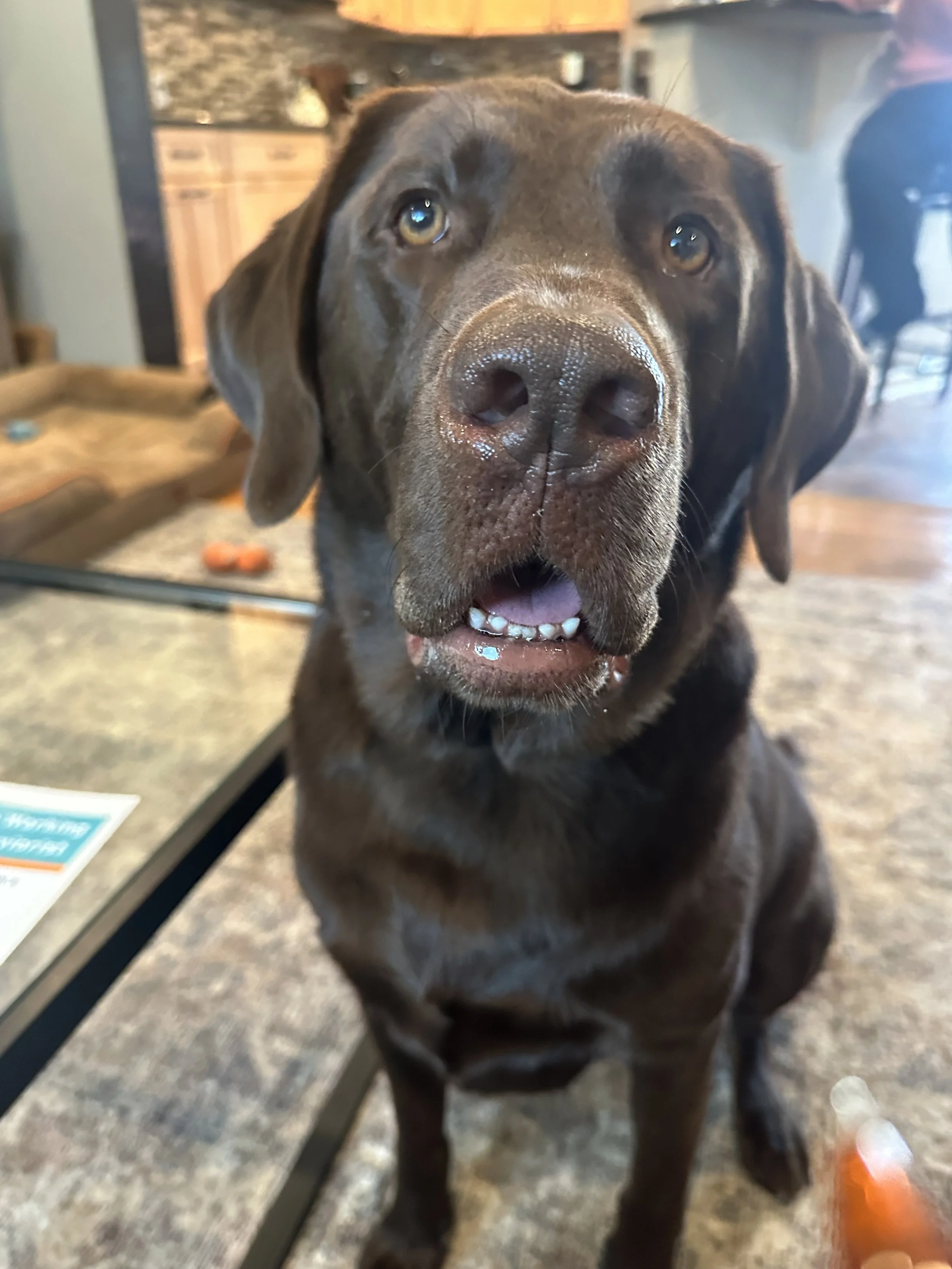 Case Study:          Helping Henry Feel Safe &amp; Confident