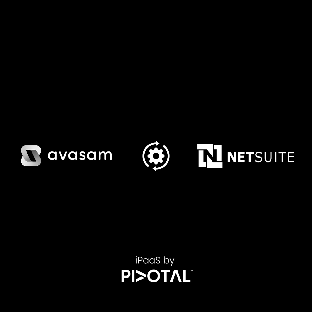 avasam-netsuite-simple.png