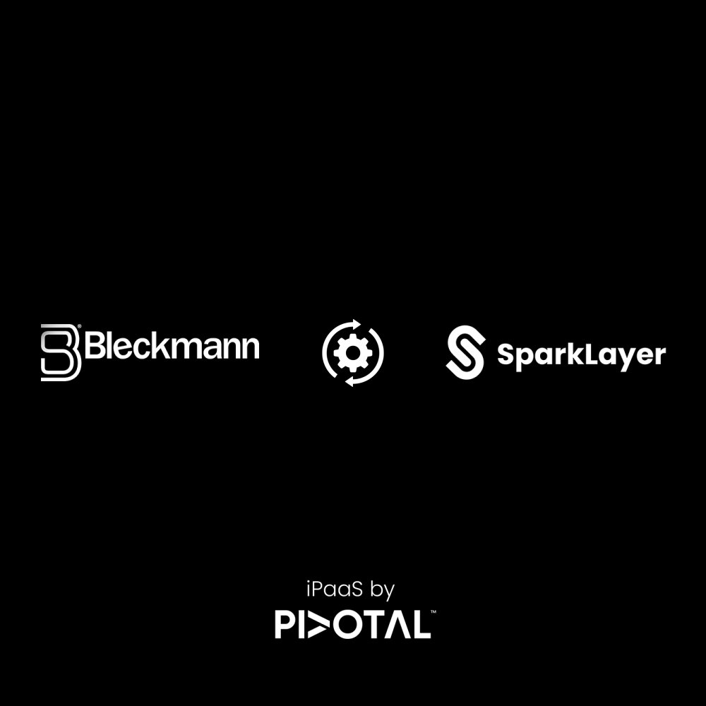 bleckmann-logistics-sparklayer-b2b-simple.png