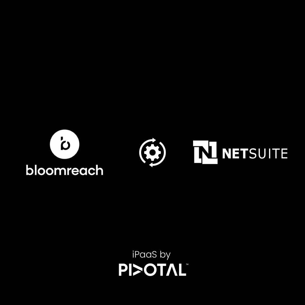 bloomreach-netsuite-simple.png