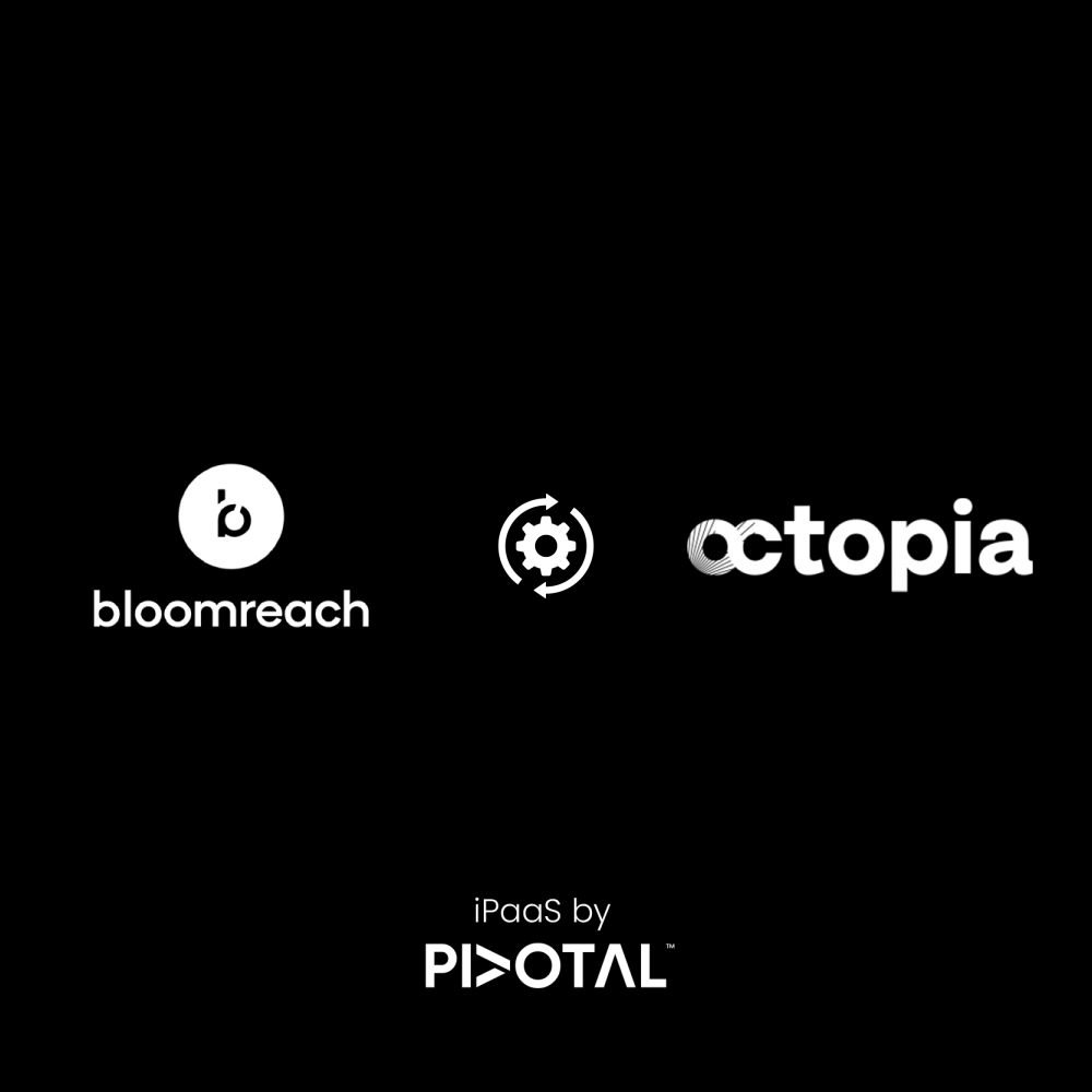 bloomreach-octopia-simple.png