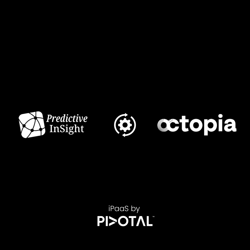 ekm-insights-octopia-simple.png