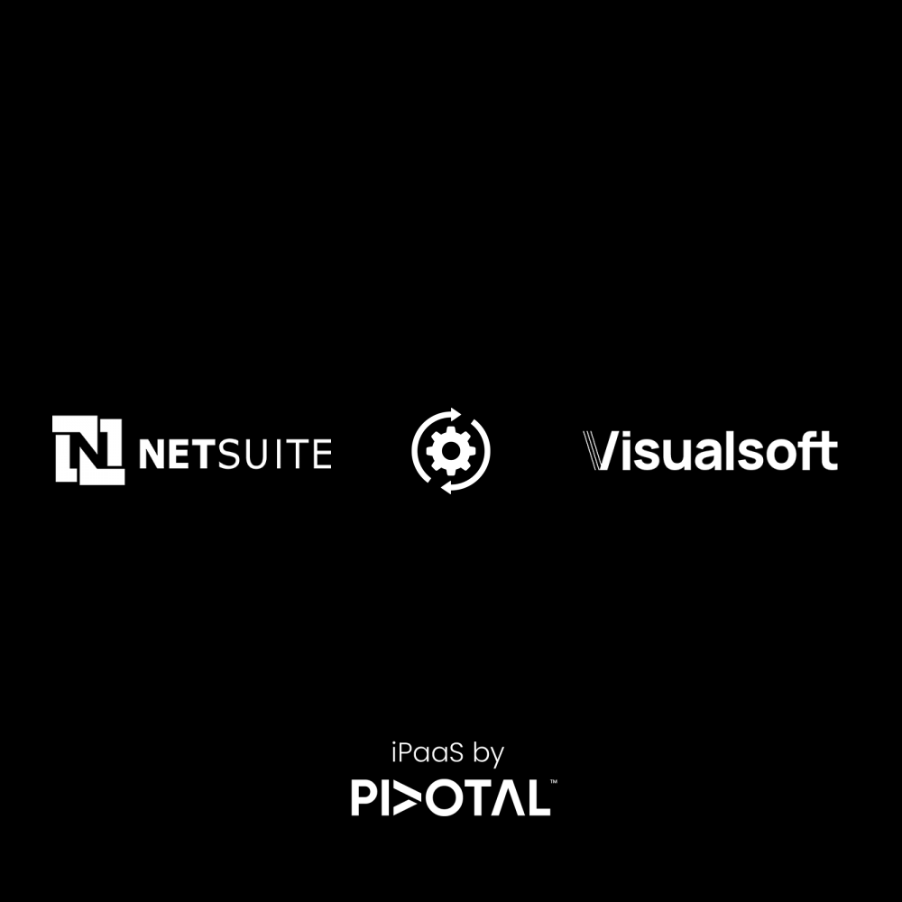 netsuite-visualsoft-simple.png