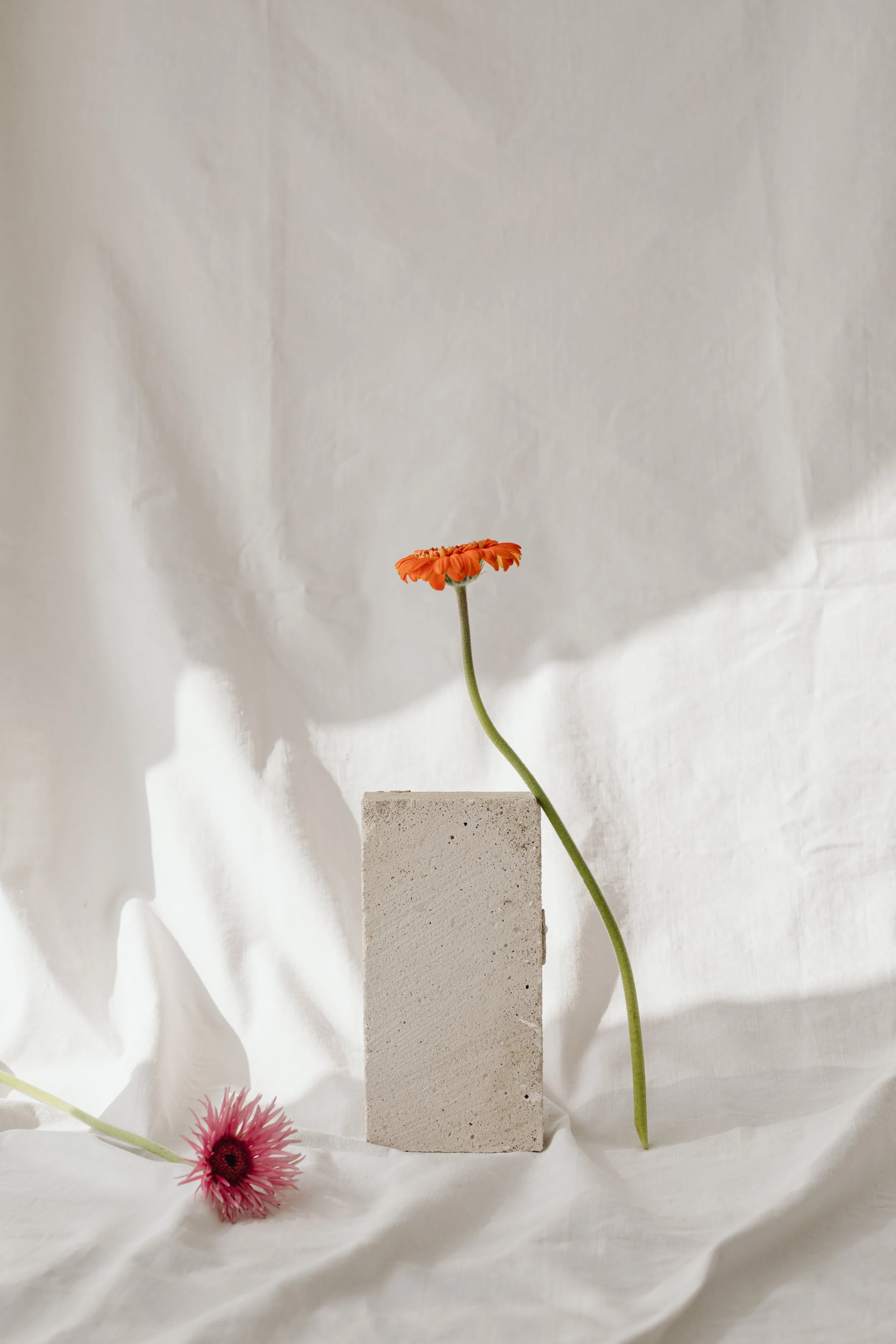 Le book de marque ou “BrandGuideline”, qu’est-ce que c’est ?