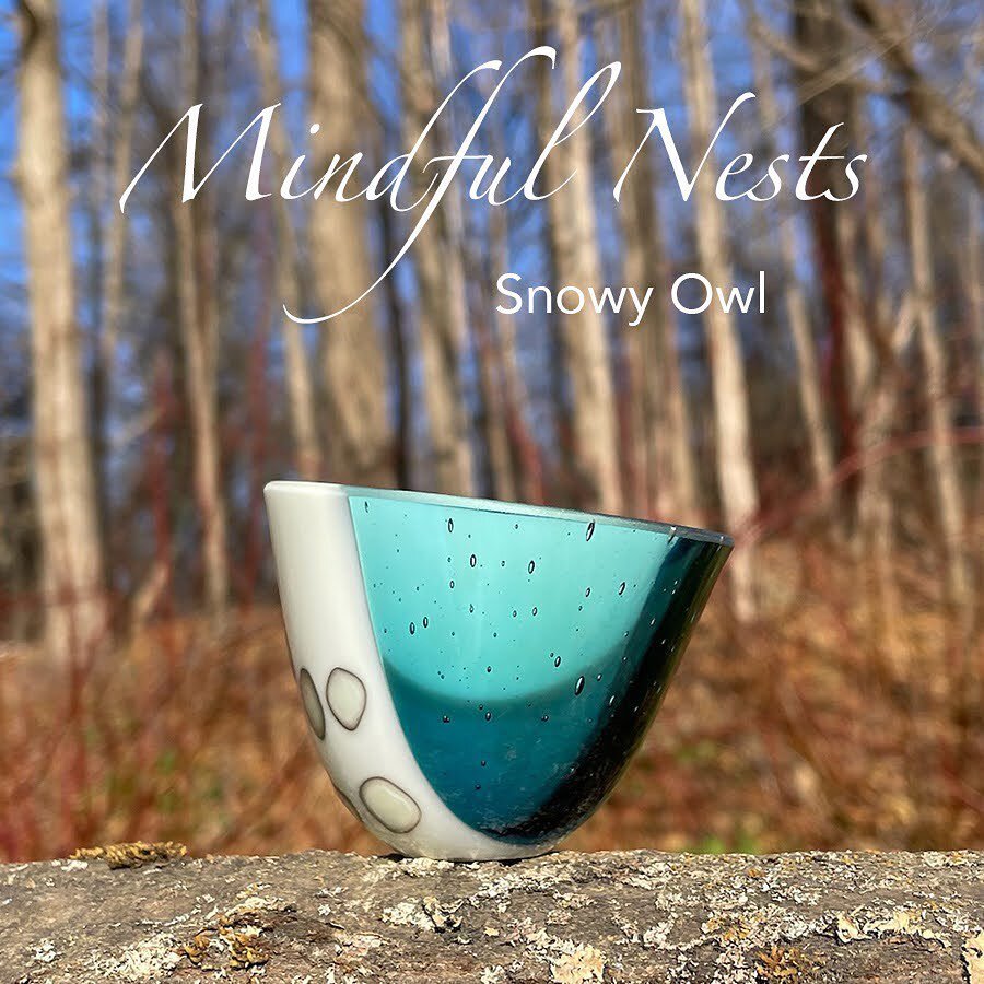 A snowy day calls for a new Snowy Owl MindfulNest! I&rsquo;m so excited about how this Nest turned out and am planning to release a parliament soon! (Fun fact: I just learned that a group of owls is called a parliament.  Whooo knew?) #vtartist #vtgla