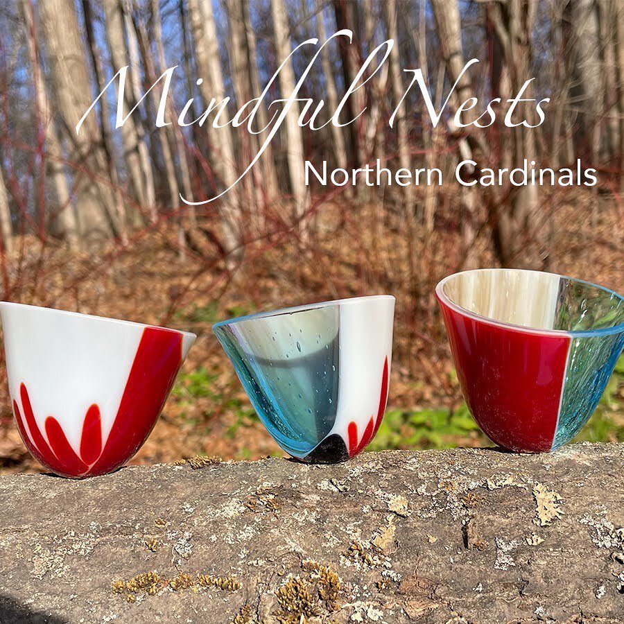 &ldquo;Three little birds pitch by my doorstep&hellip;&rdquo; Here&rsquo;s to the family of cardinals that come by every day to feast on the crabapples.  Thank you! #vtartist #vtglass #vtglassguild
