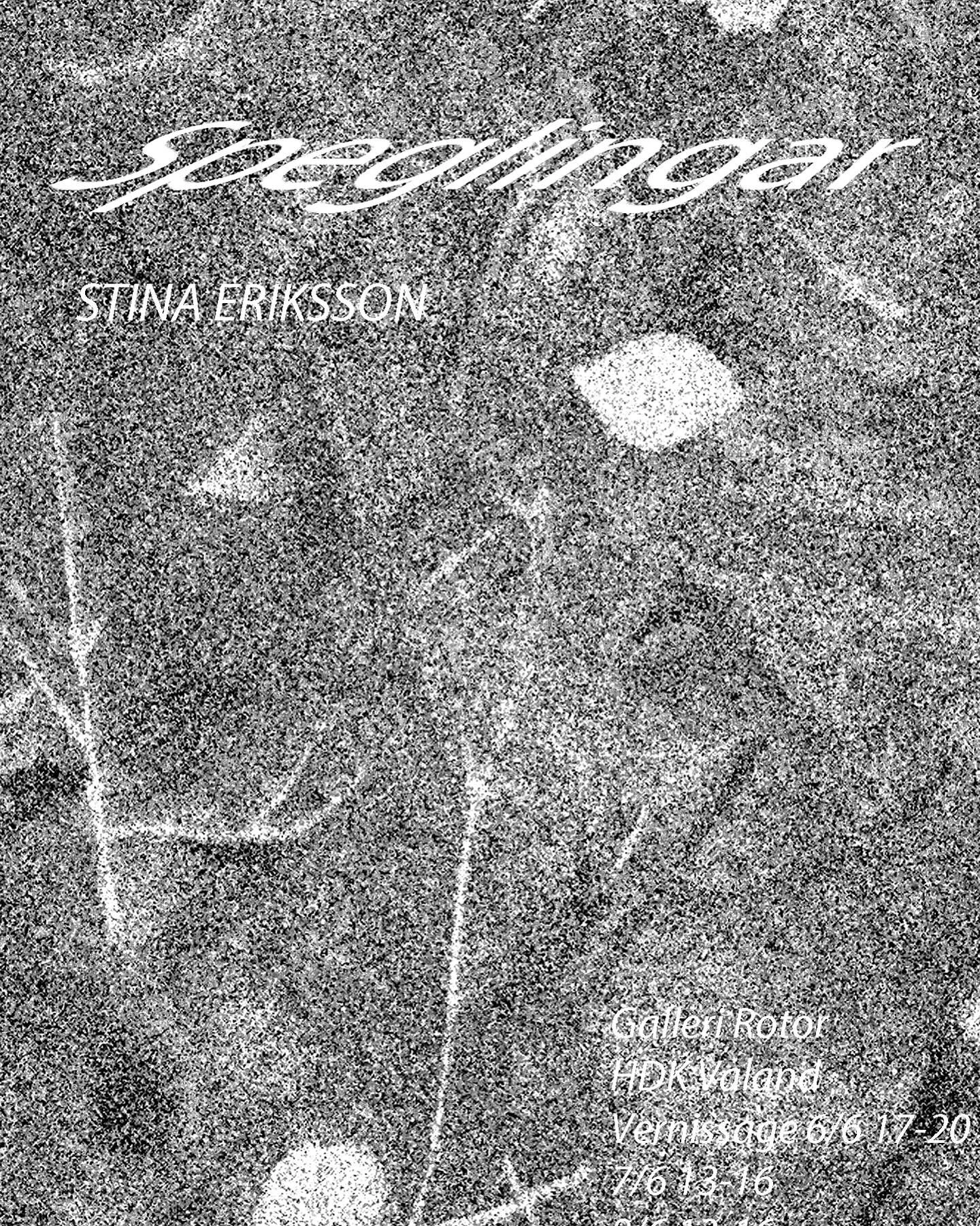 Welcome to the opening of my solo exhibition Speglingar&nbsp;on Friday June 6th&nbsp;17-20 in gallery Rotor:

My work&nbsp;is an exploration of&nbsp;the natural world that sorrounds me.&nbsp;
Searching and collecting at moments that reminds me of&nbs