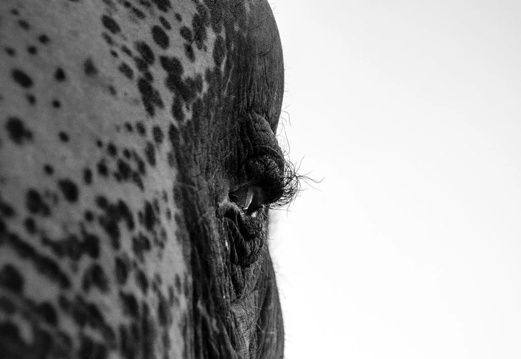 DSC_3929-2.jpg