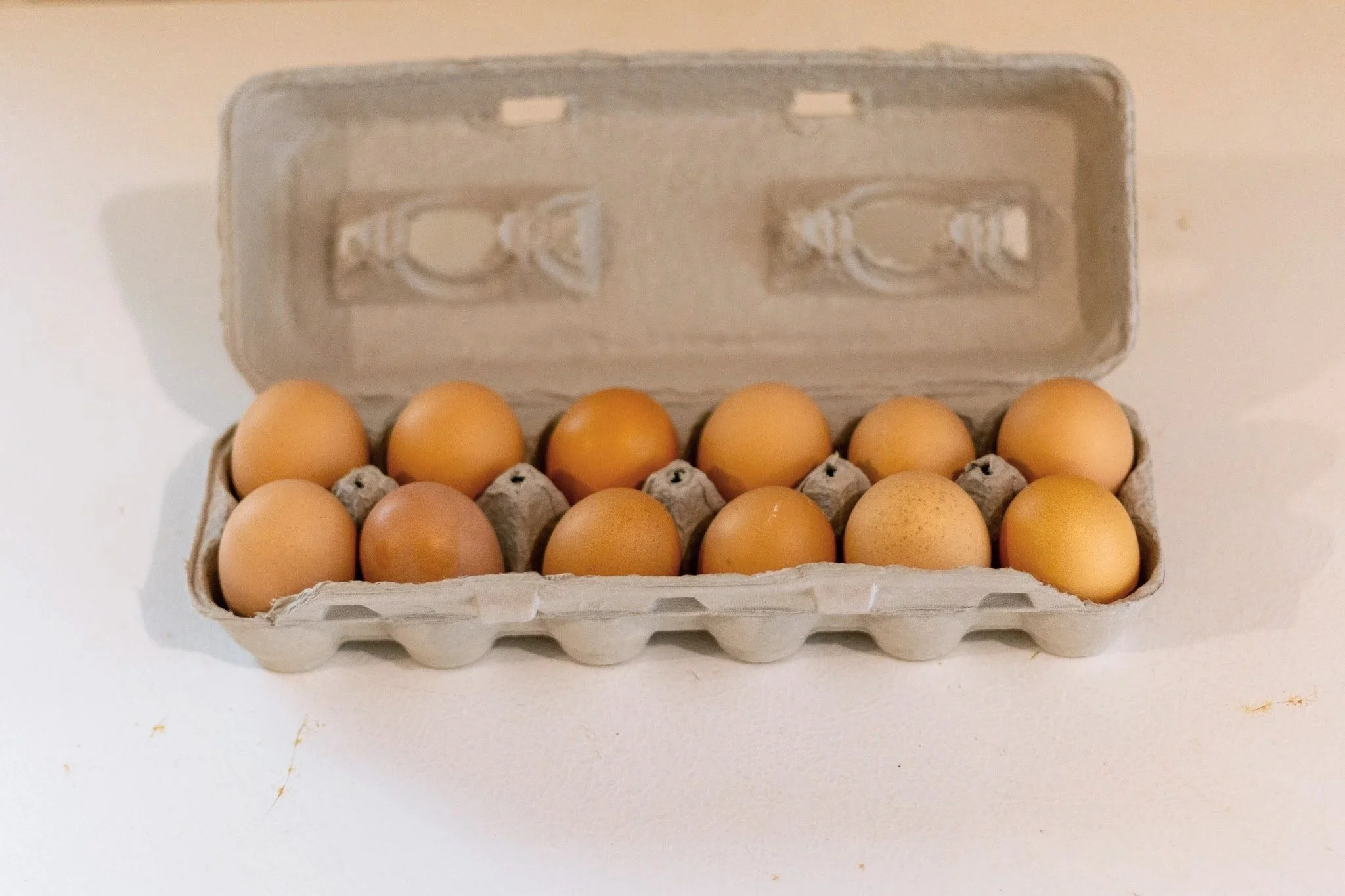 Pastured Eggs - 1 Dozen